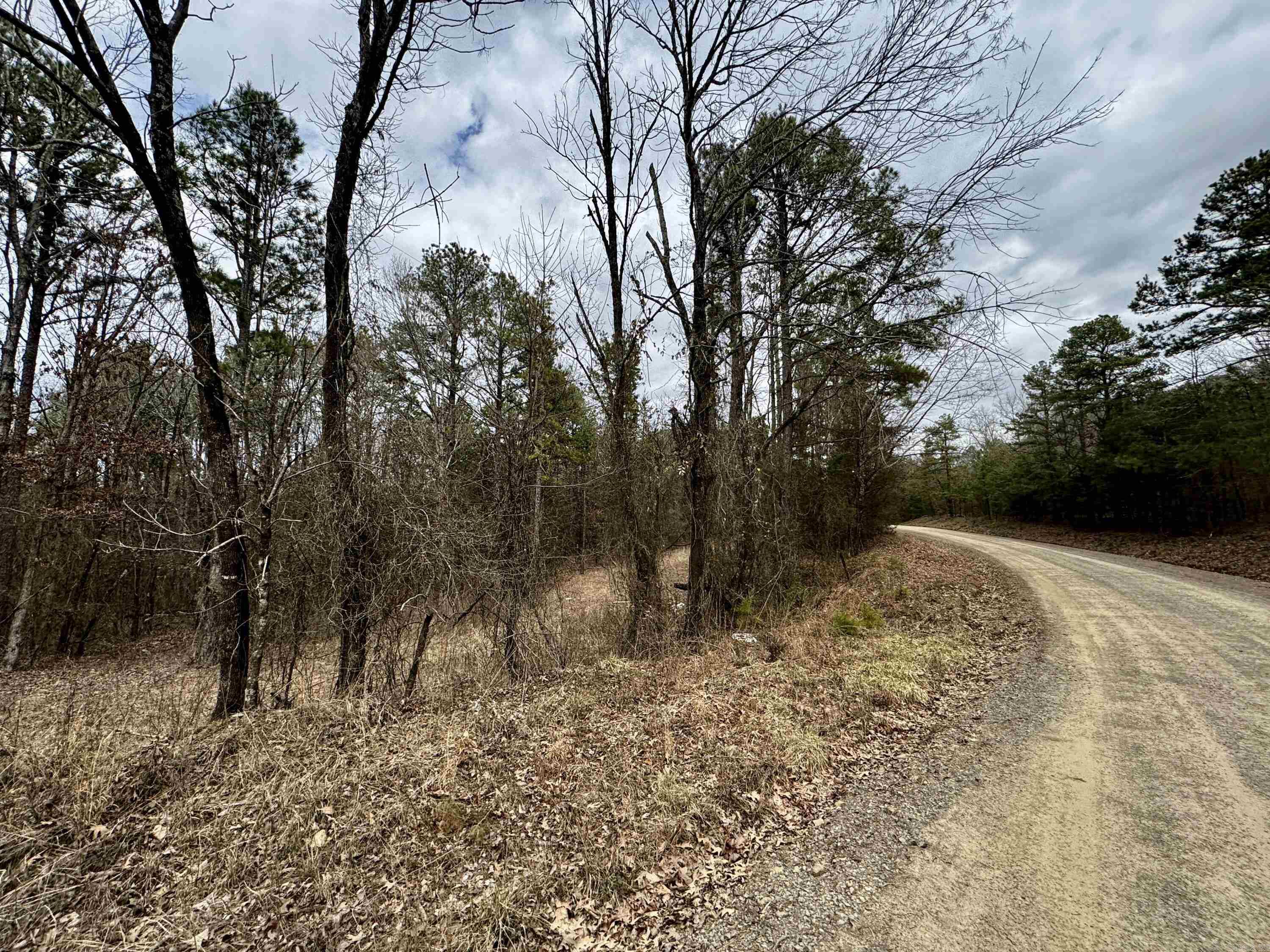 00  mt zion  Bee Branch, AR