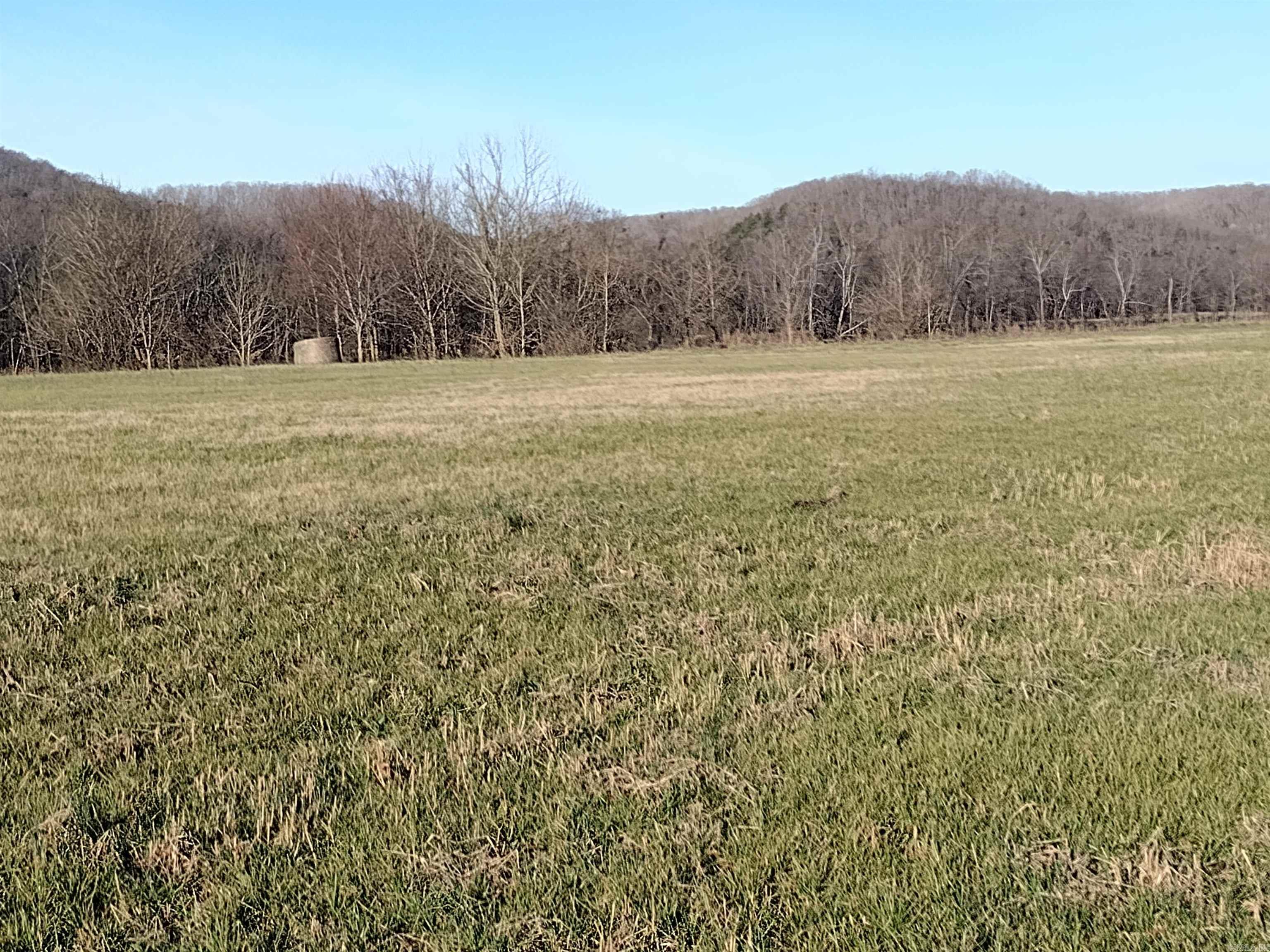 3860  River Road  Guion, AR