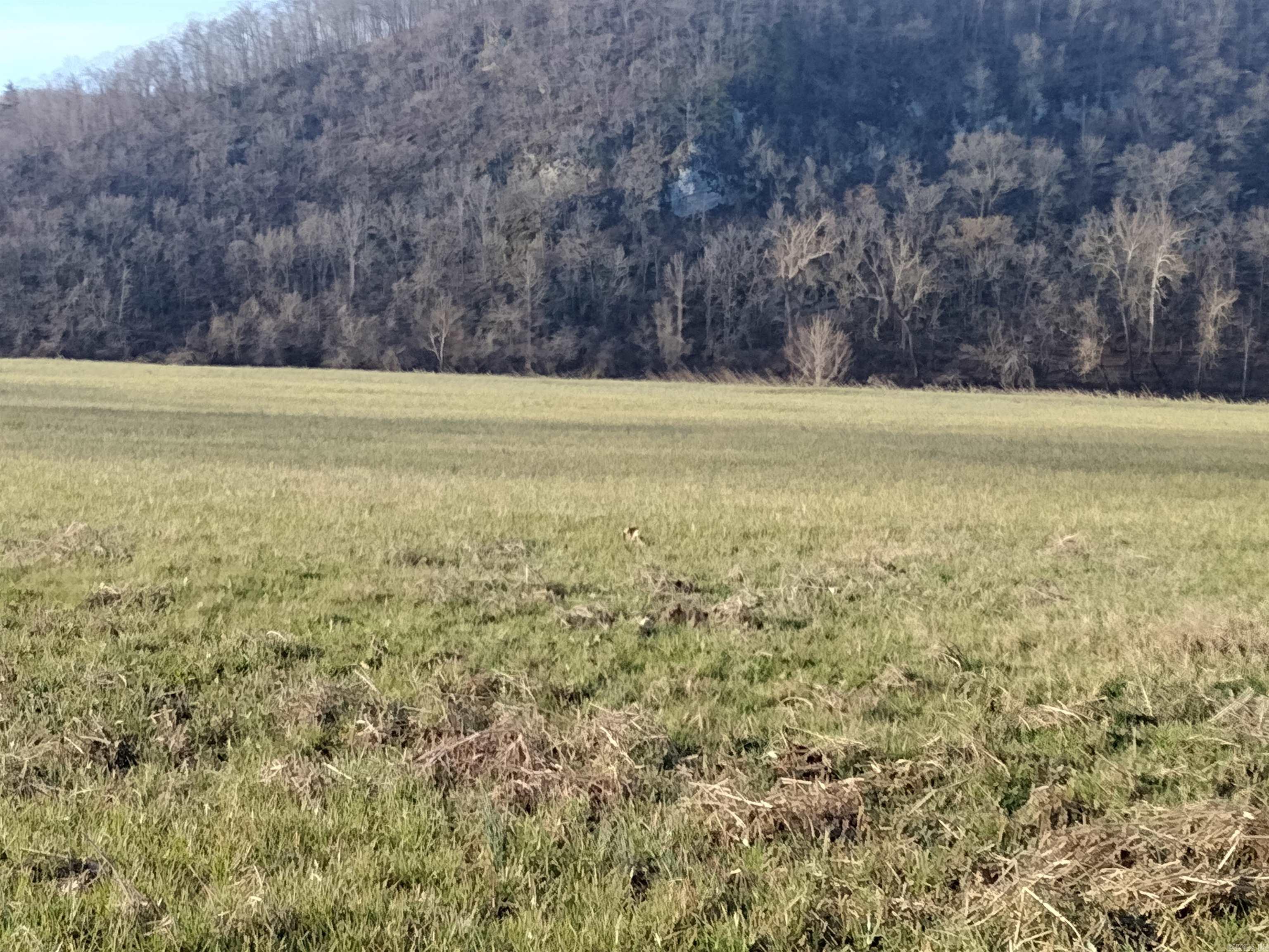 3860  River Road  Guion, AR