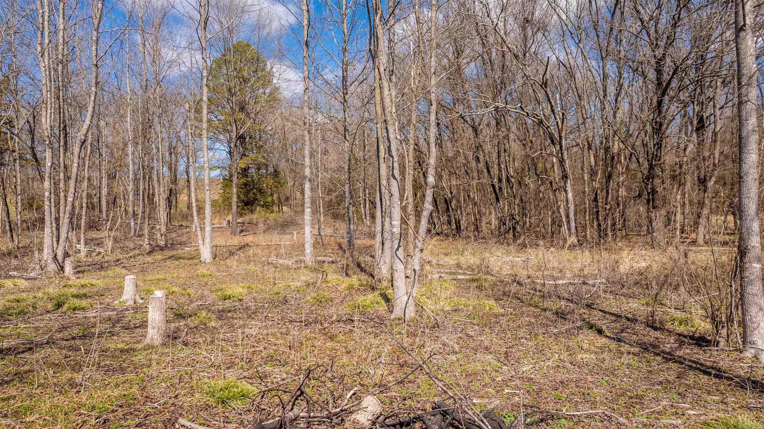 16  Rabbit Run  Conway, AR