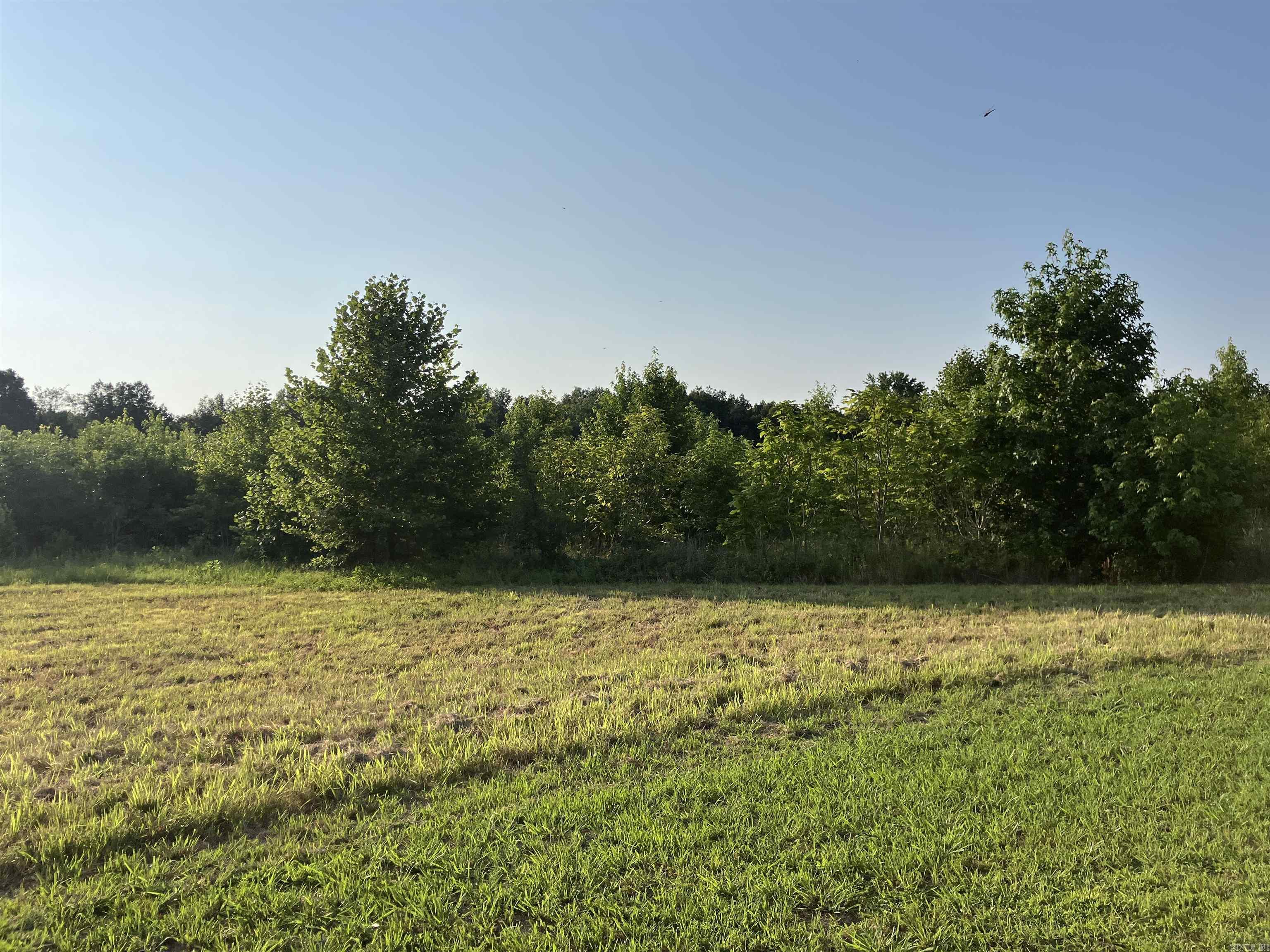 2406  Clay 247  Corning, AR