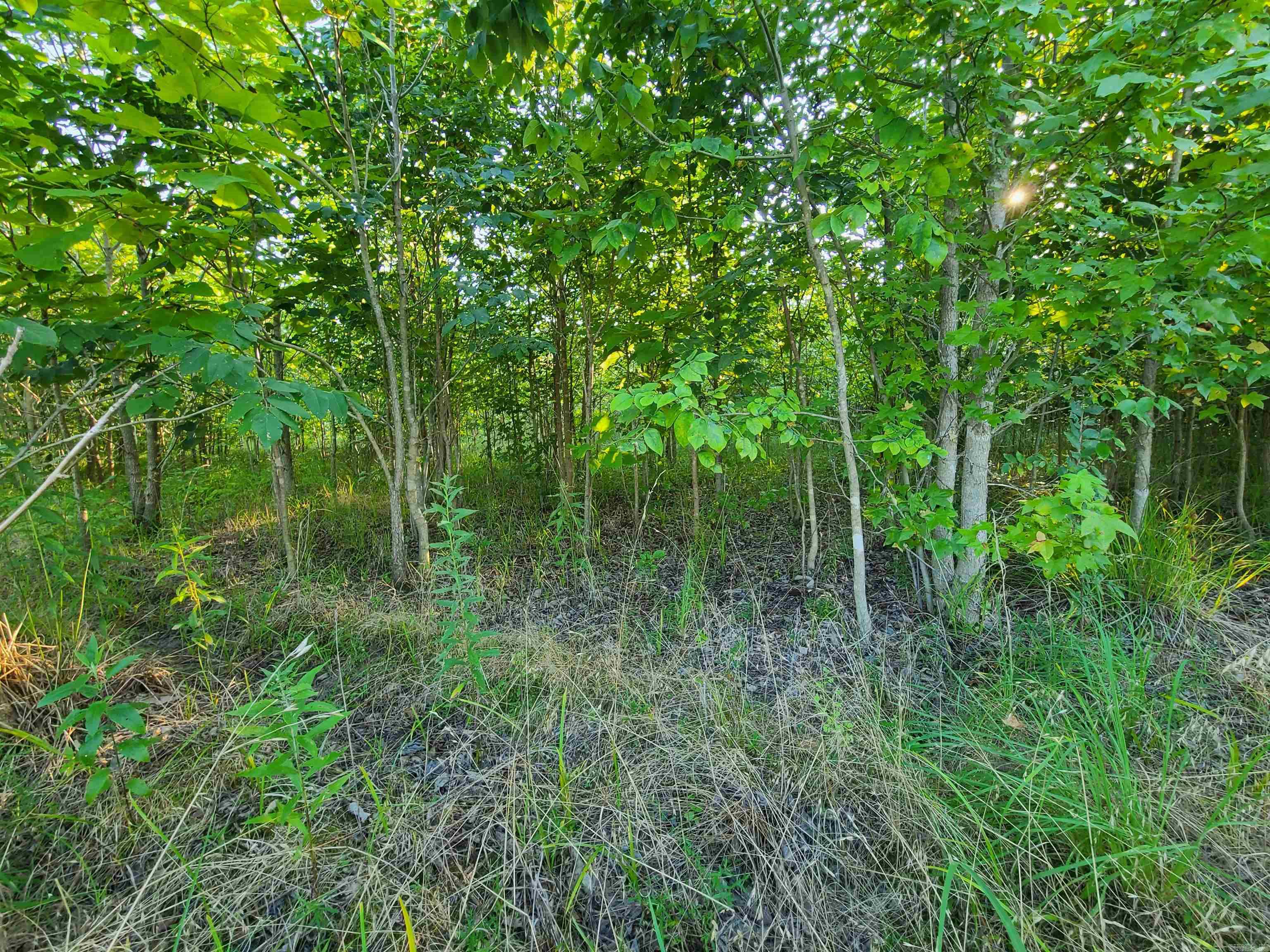 2406  Clay 247  Corning, AR