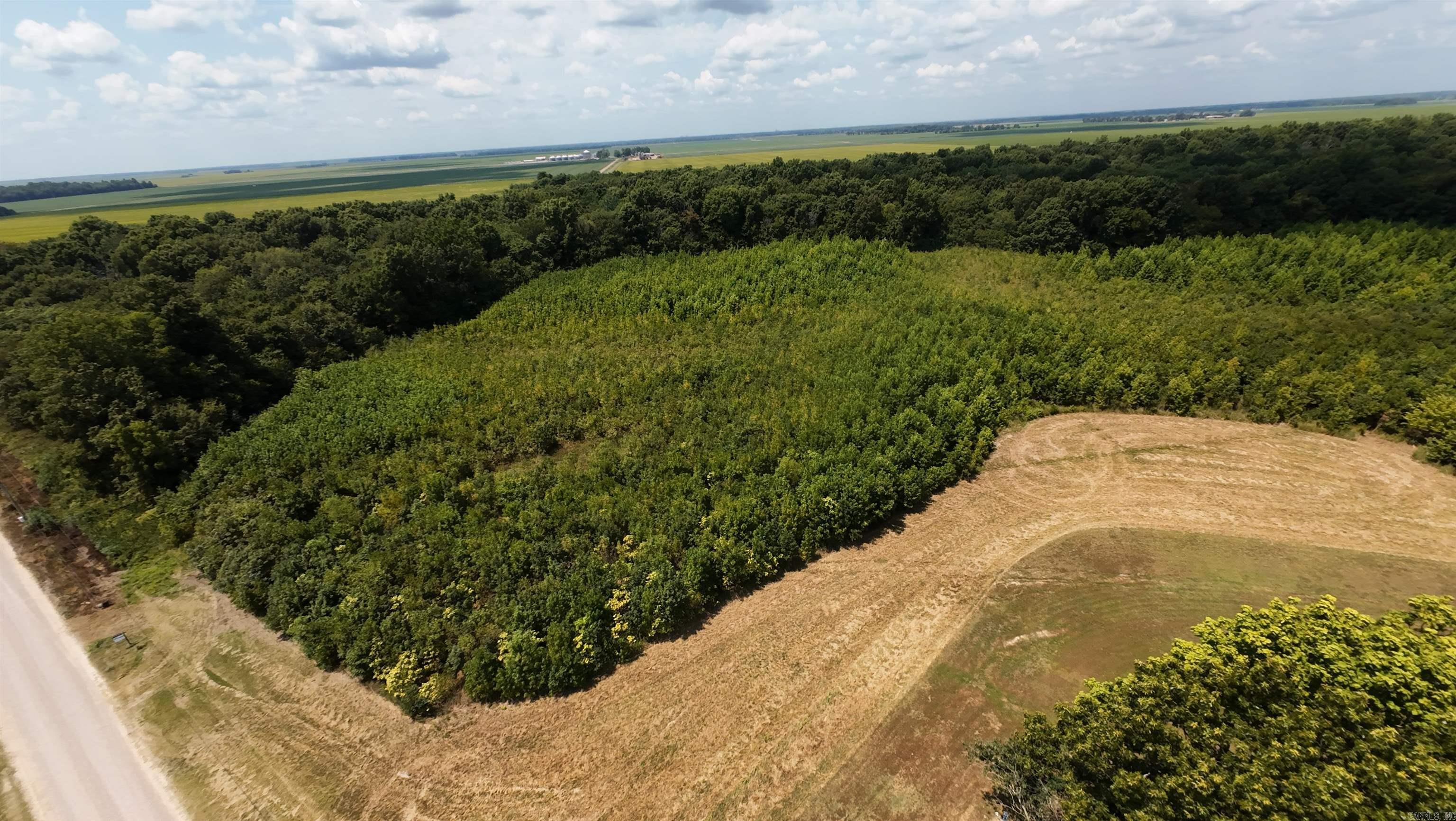 2406 Clay 247  Corning, AR