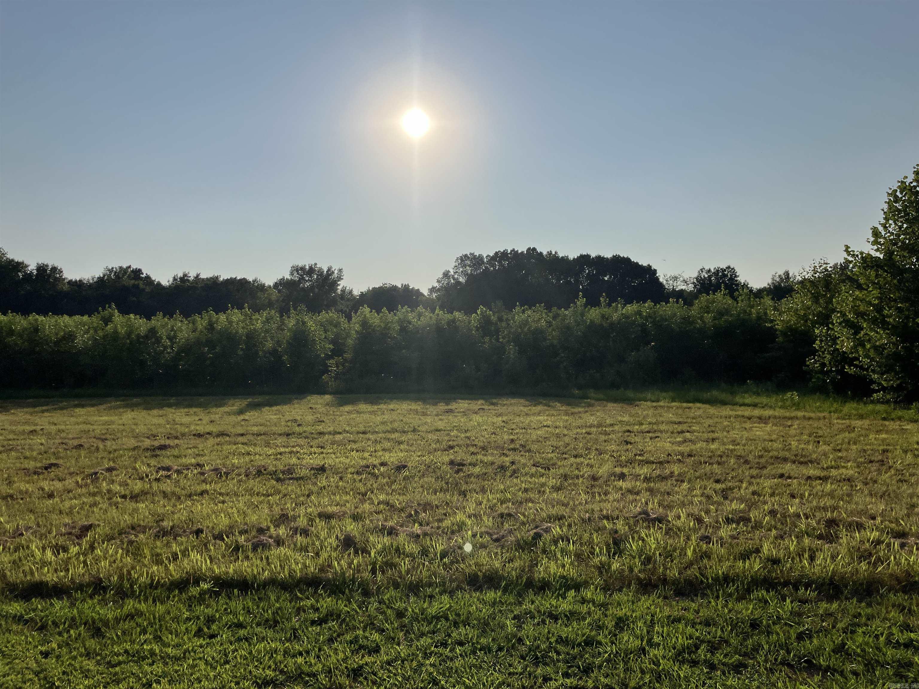 2406  Clay 247  Corning, AR