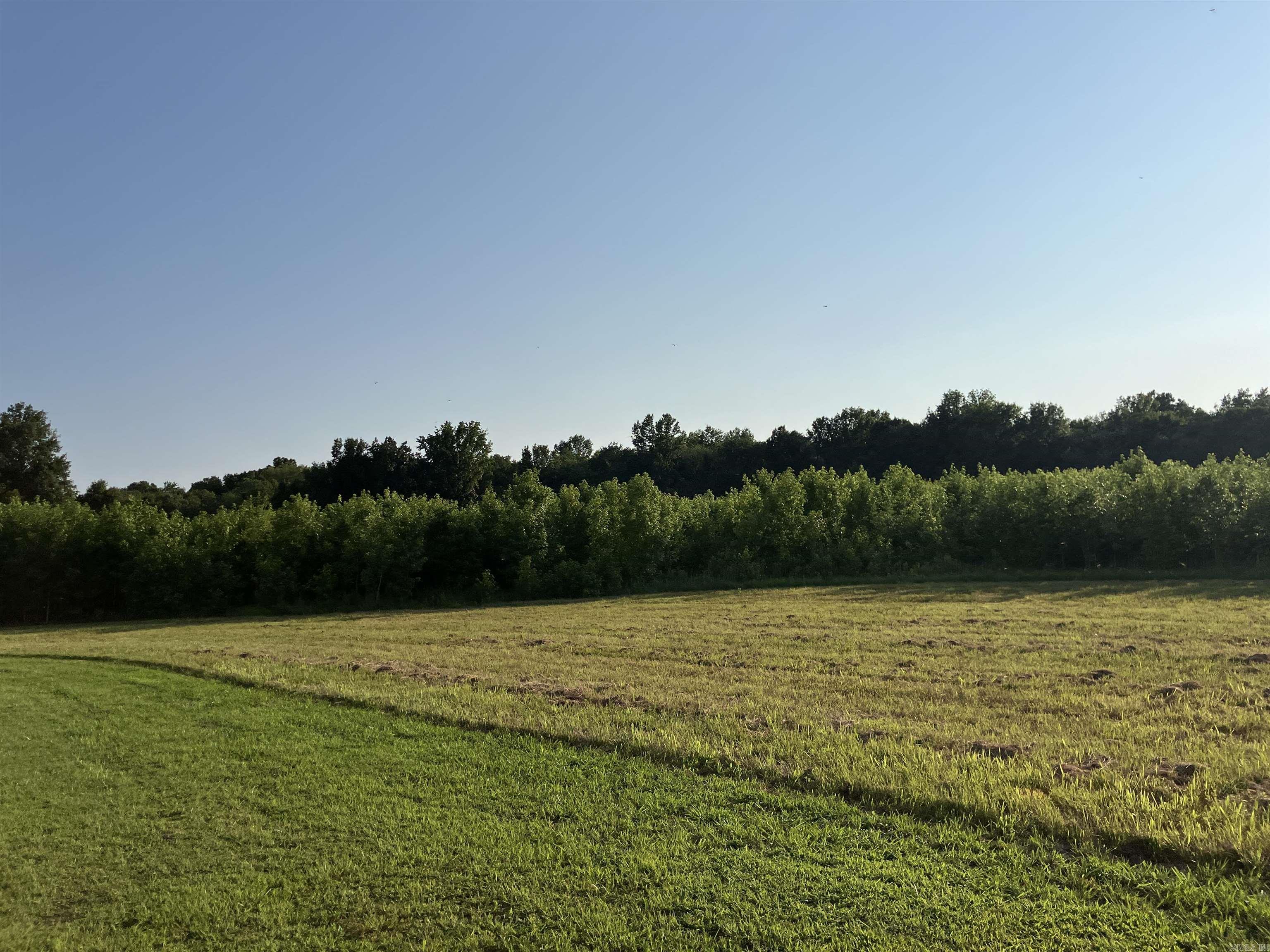 2406  Clay 247  Corning, AR