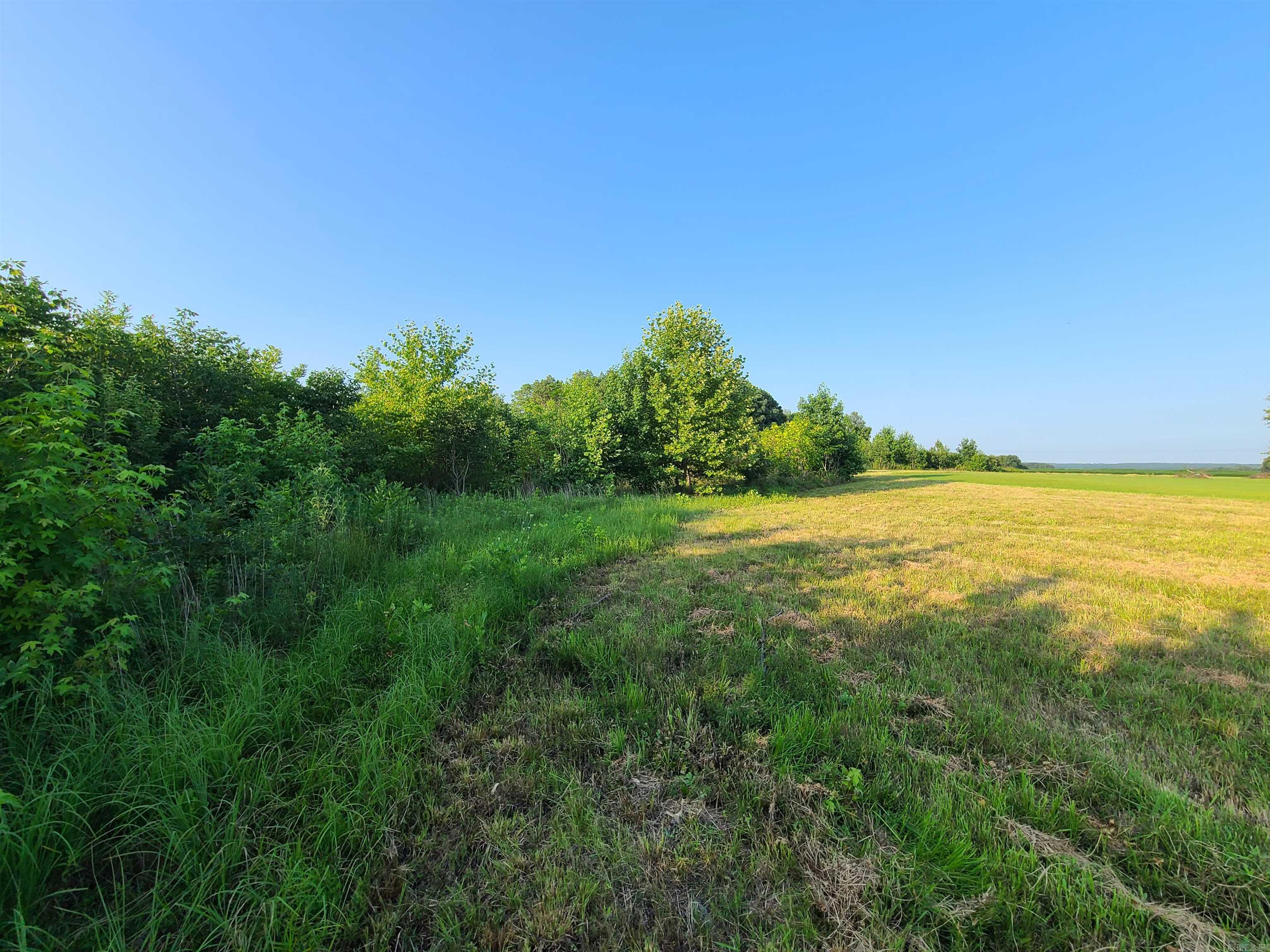 2406  Clay 247  Corning, AR