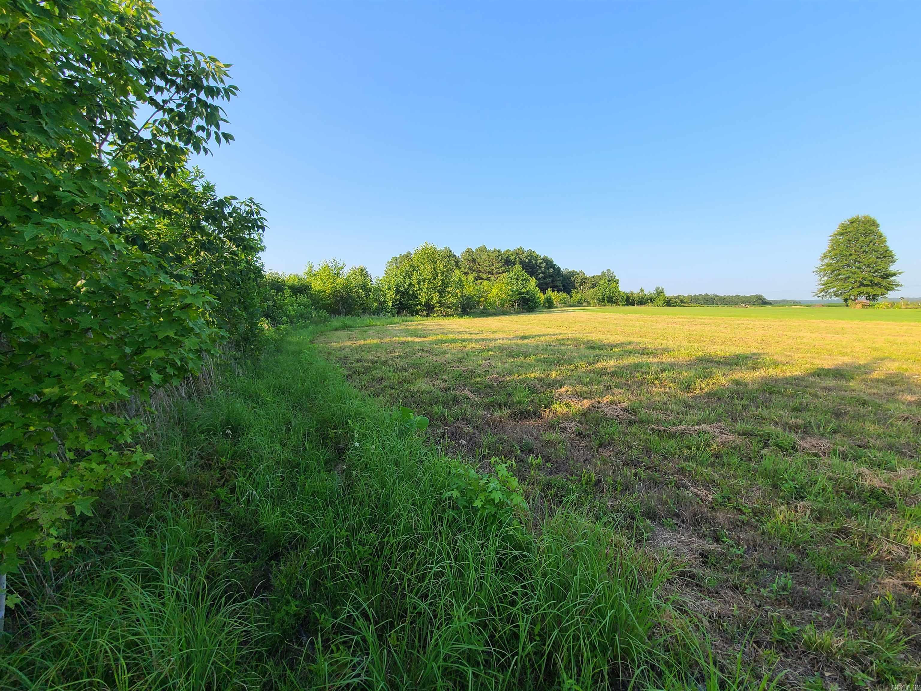 2406  Clay 247  Corning, AR