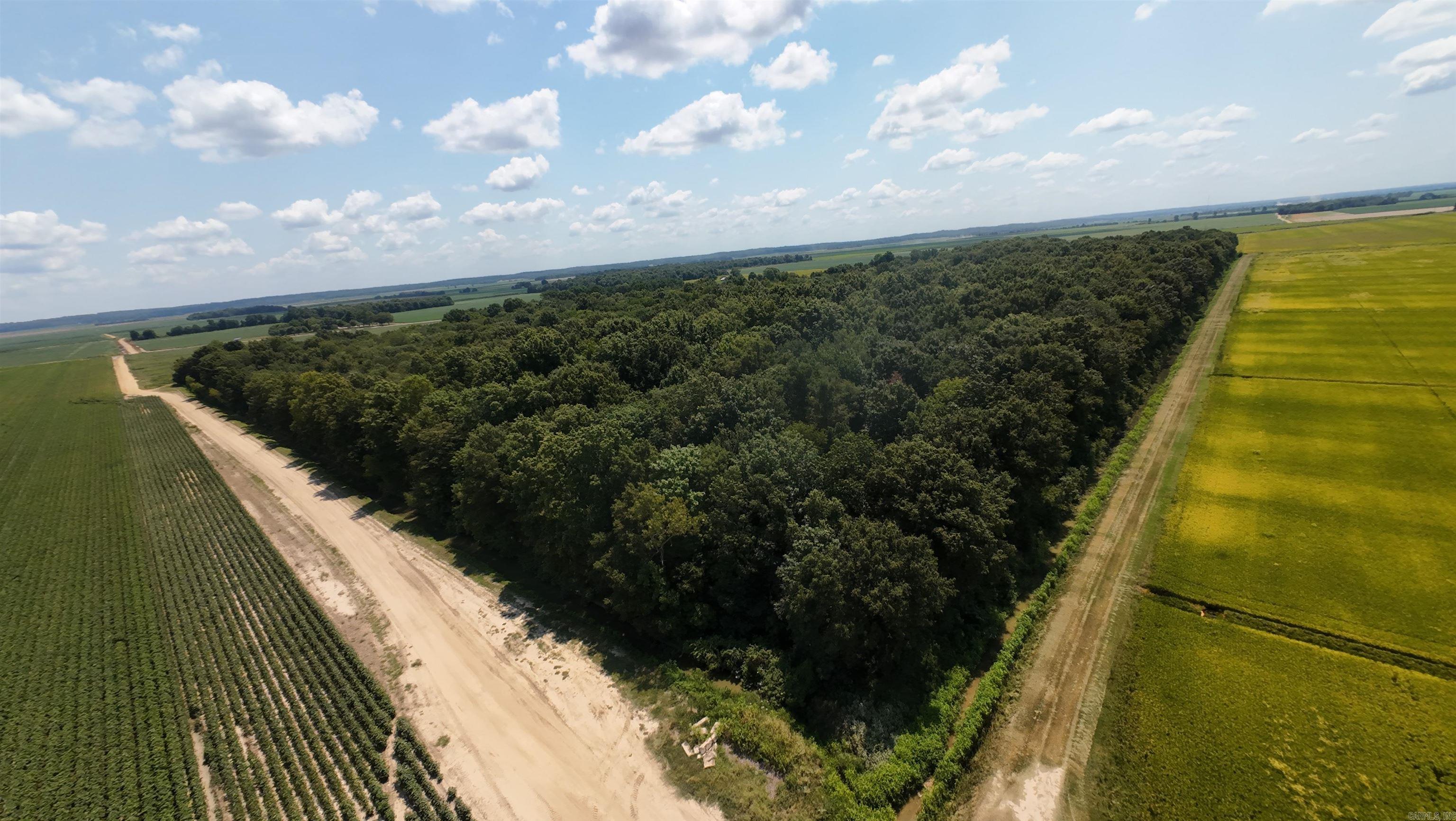 2406 Clay 247  Corning, AR