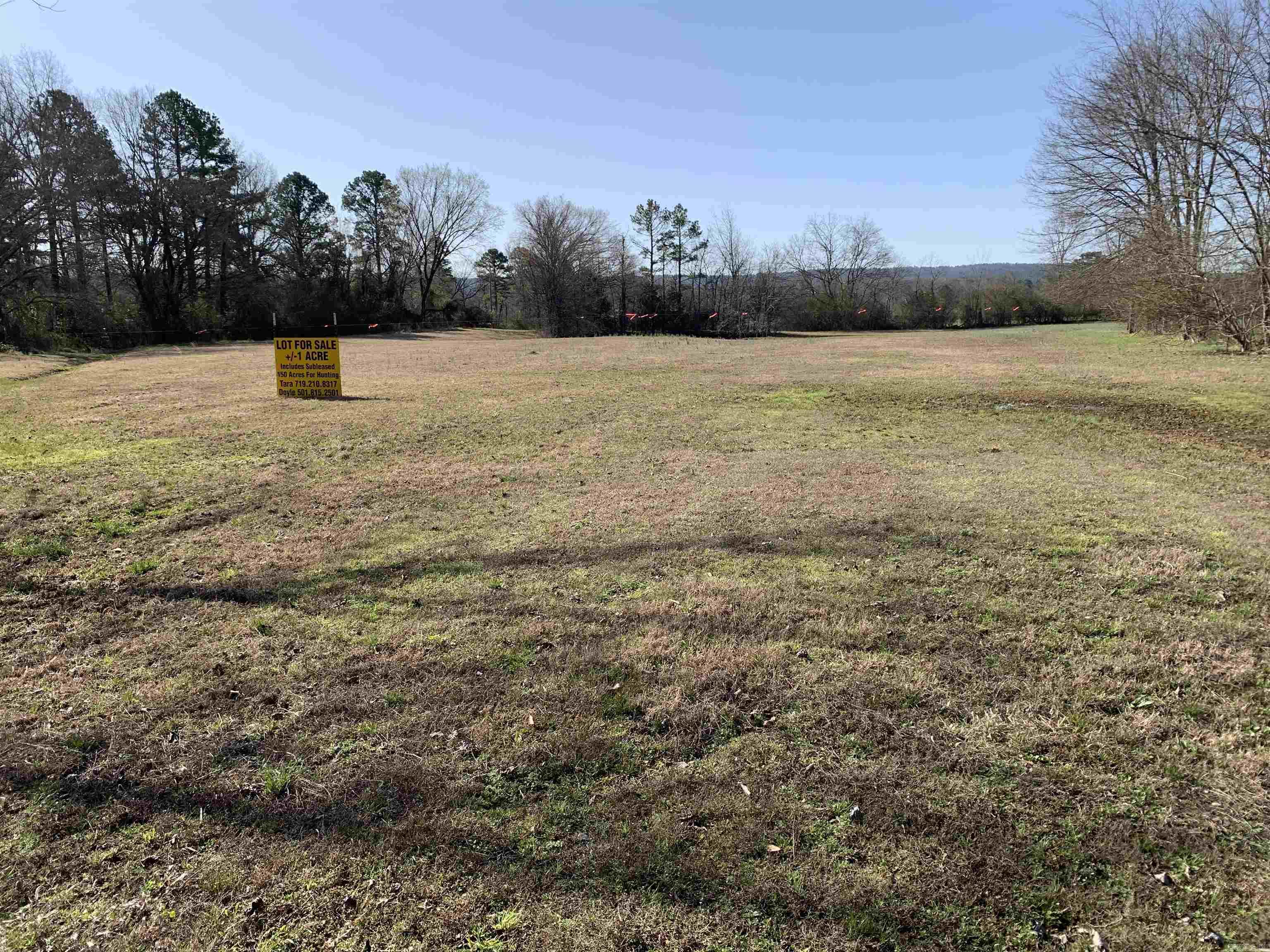 acrage Chula road  Plainview, AR