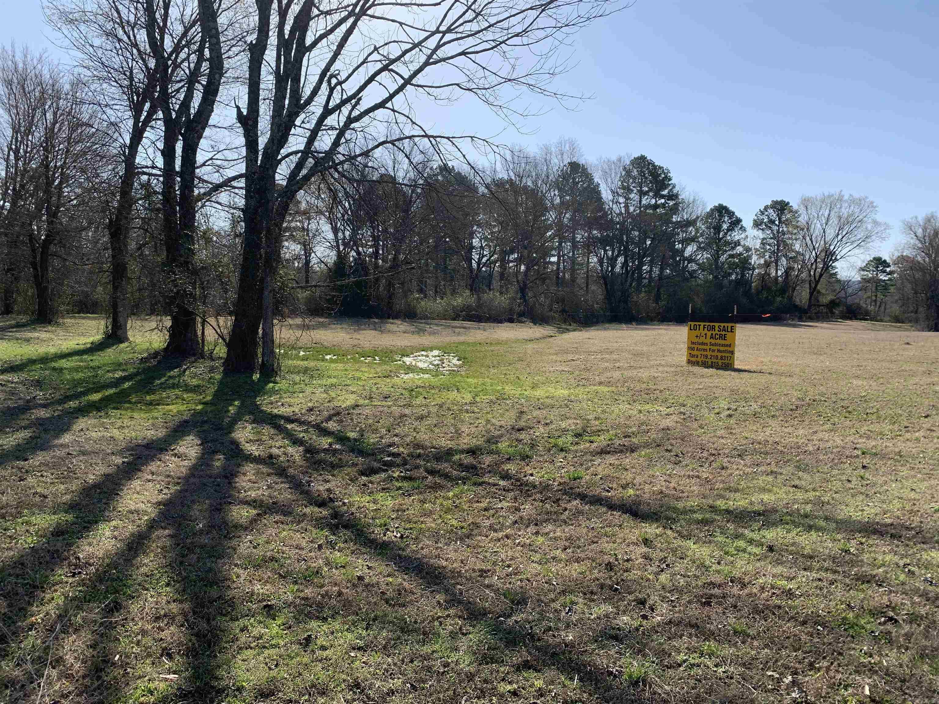 acrage Chula road  Plainview, AR