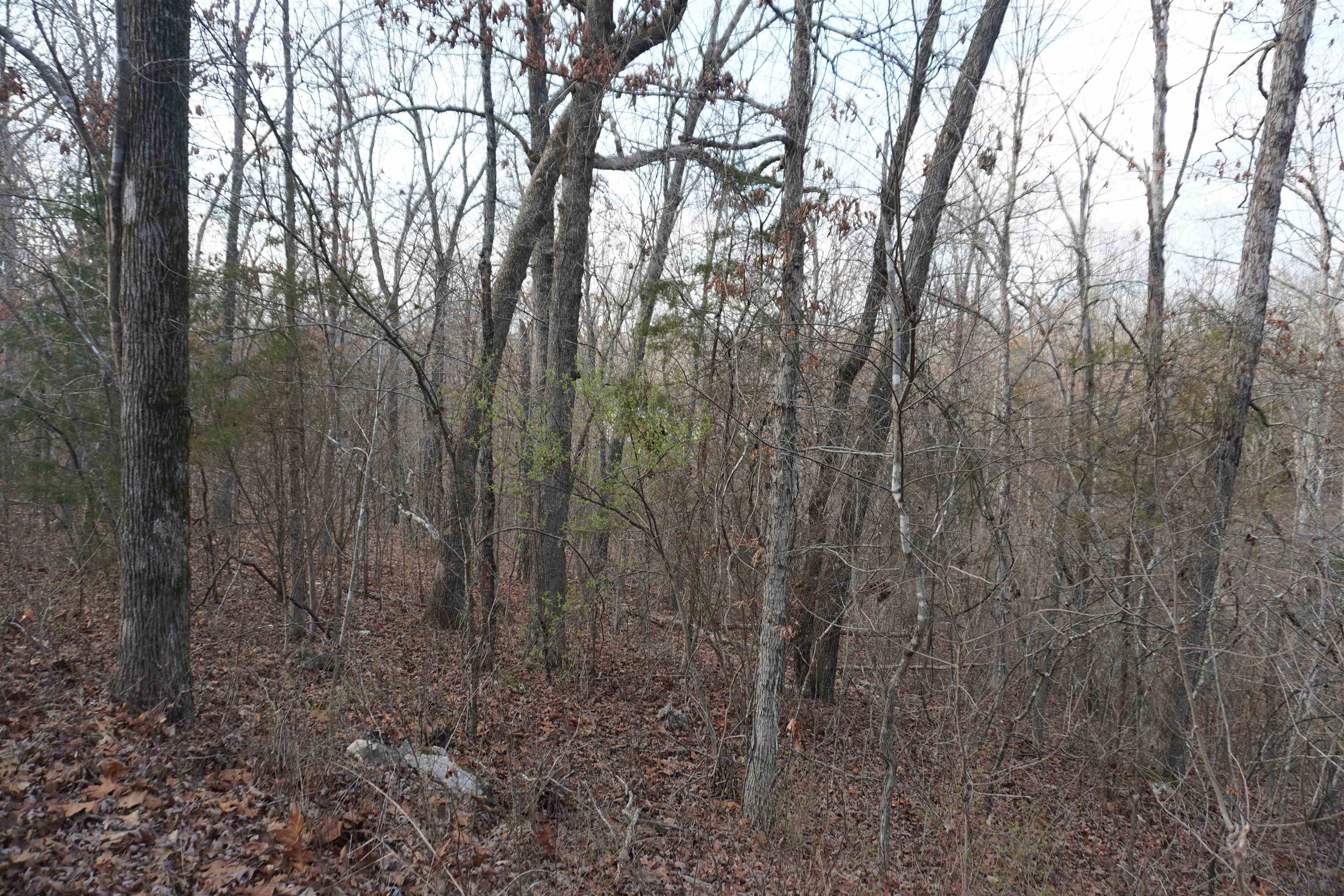 000  Algonquin  Cherokee Village, AR