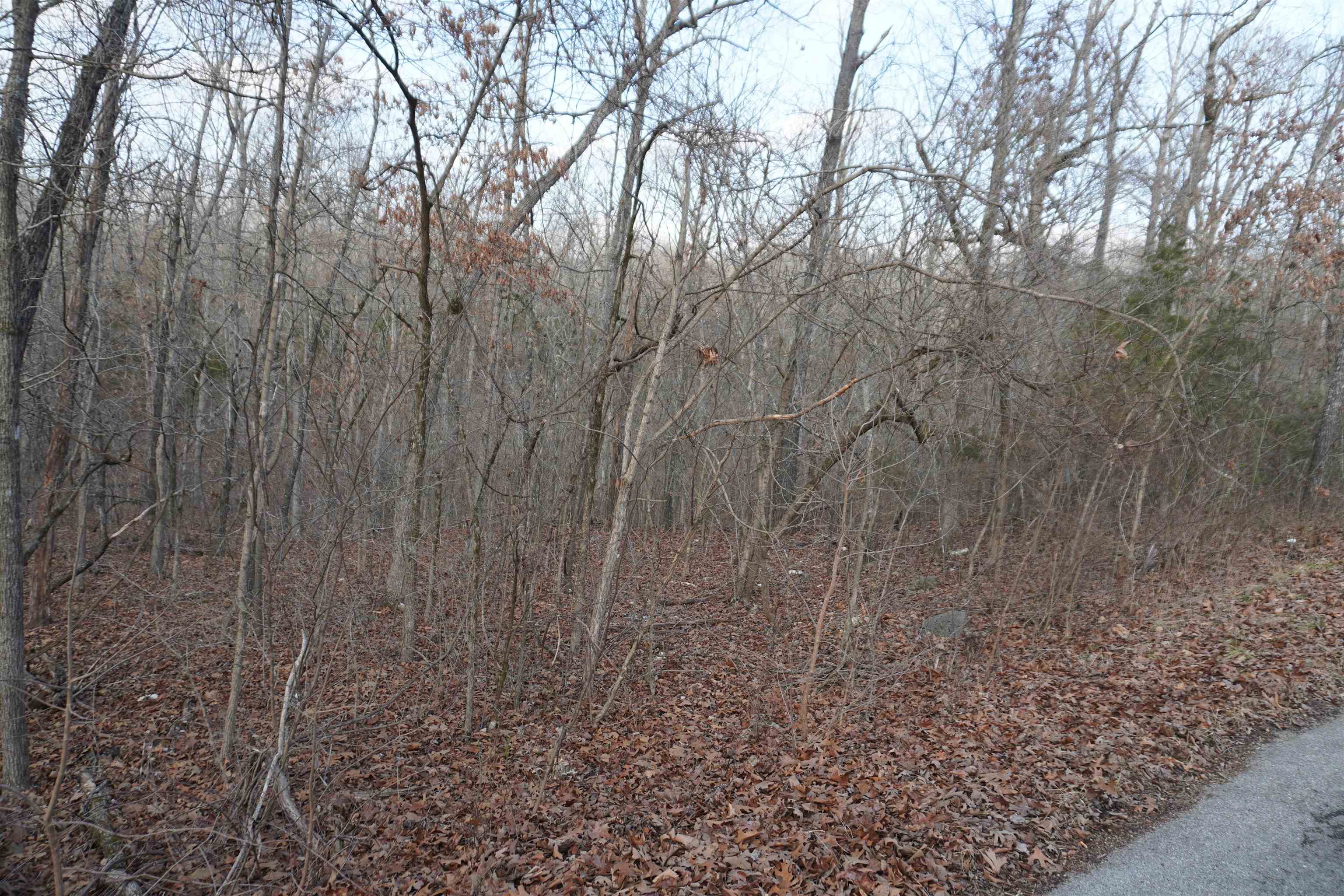 000  Algonquin  Cherokee Village, AR