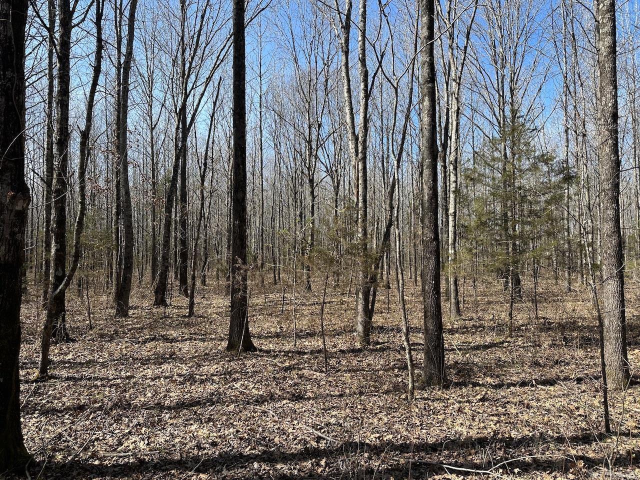 000  Anderson  Searcy, AR