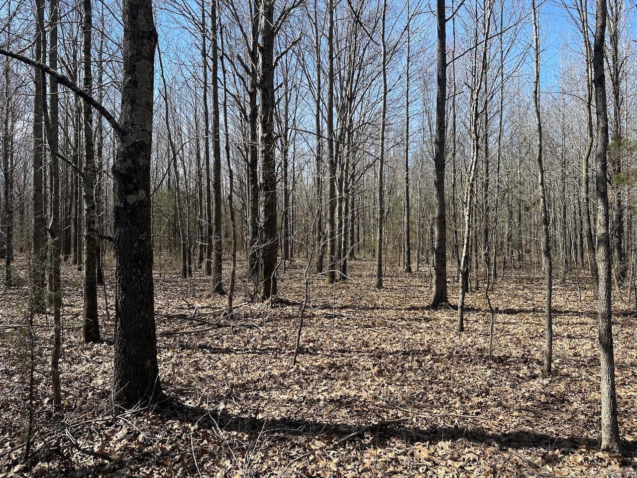 000  Anderson  Searcy, AR