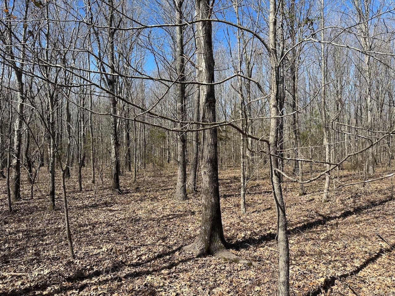 000  Anderson  Searcy, AR