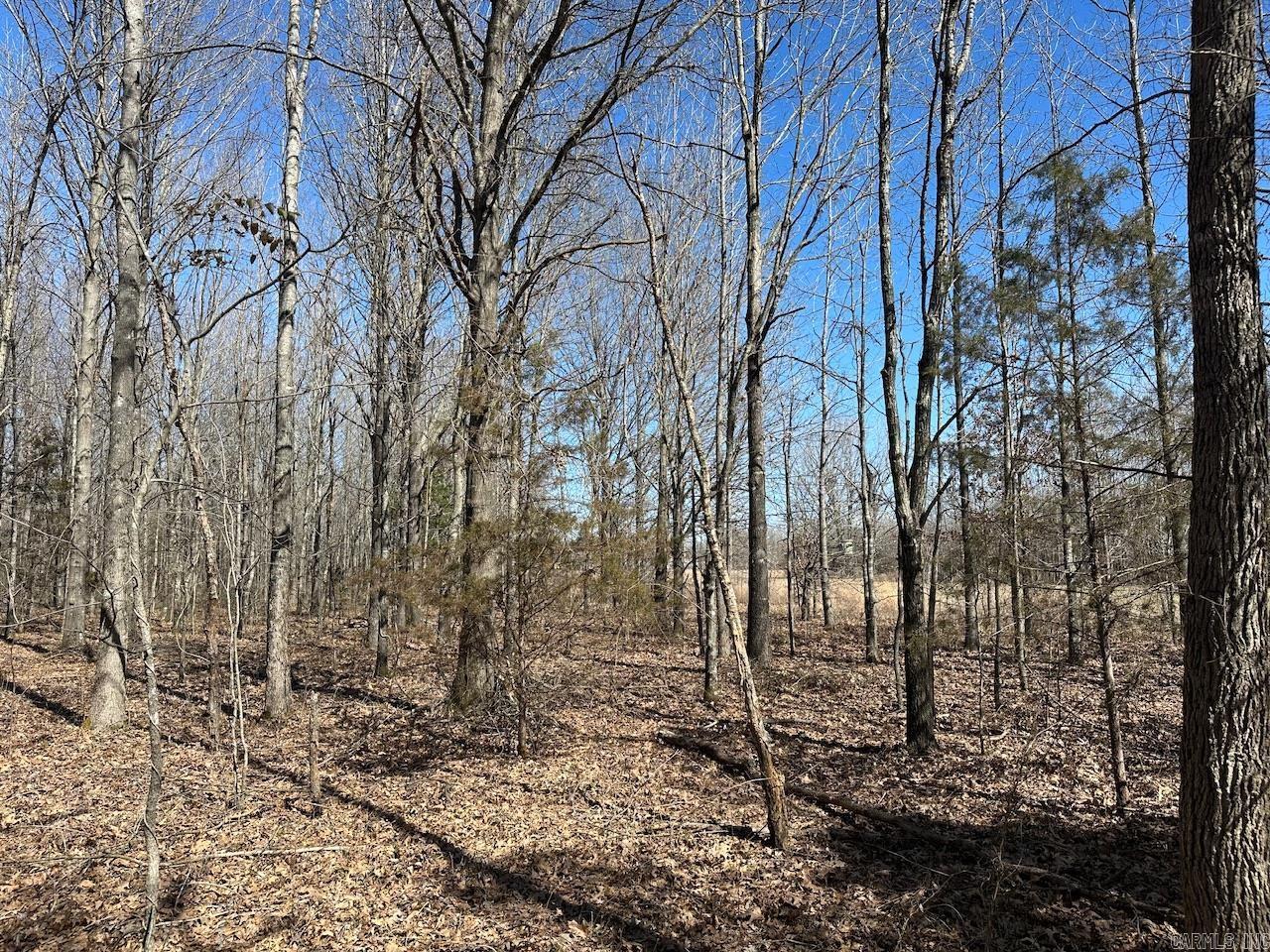 000  Anderson  Searcy, AR