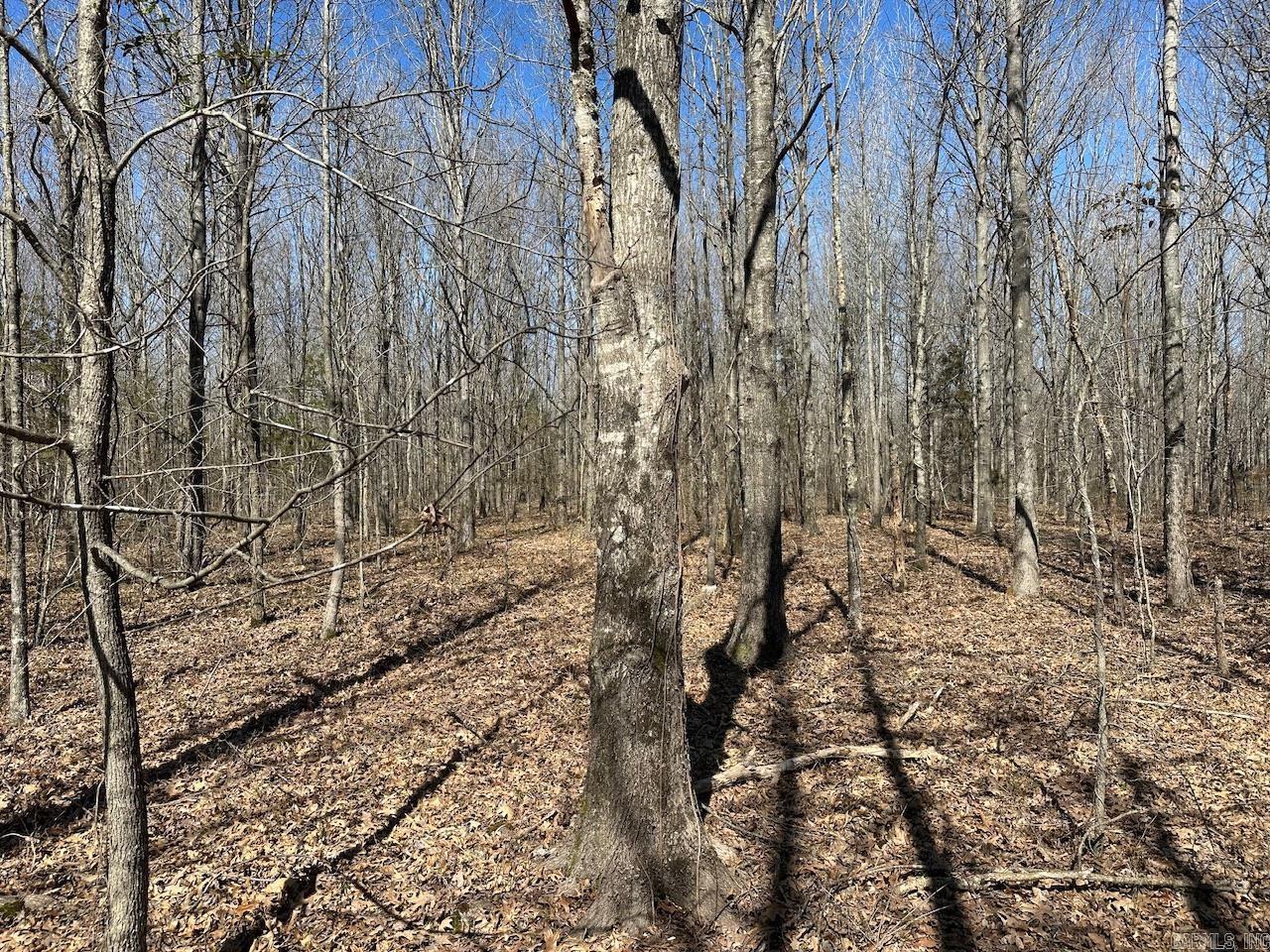 000  Anderson  Searcy, AR