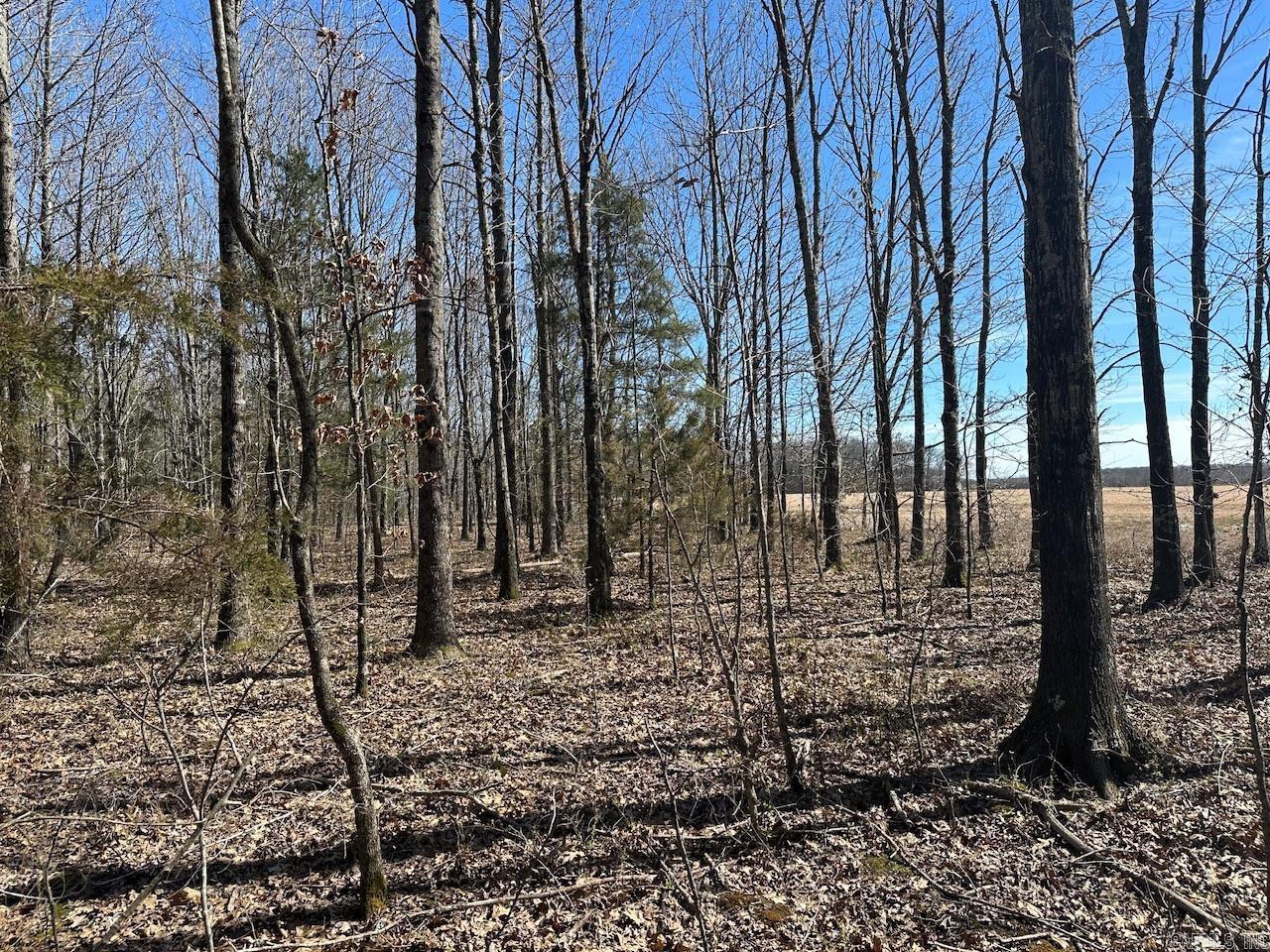 000  Anderson  Searcy, AR