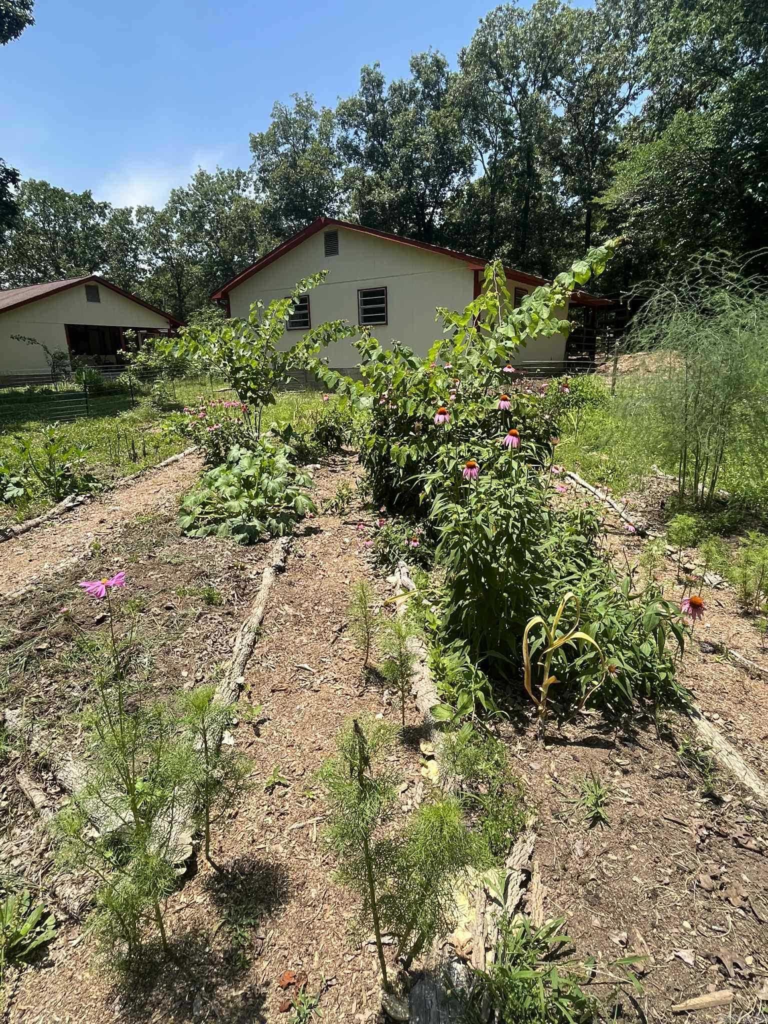 142 Polk Road 659  Mena, AR