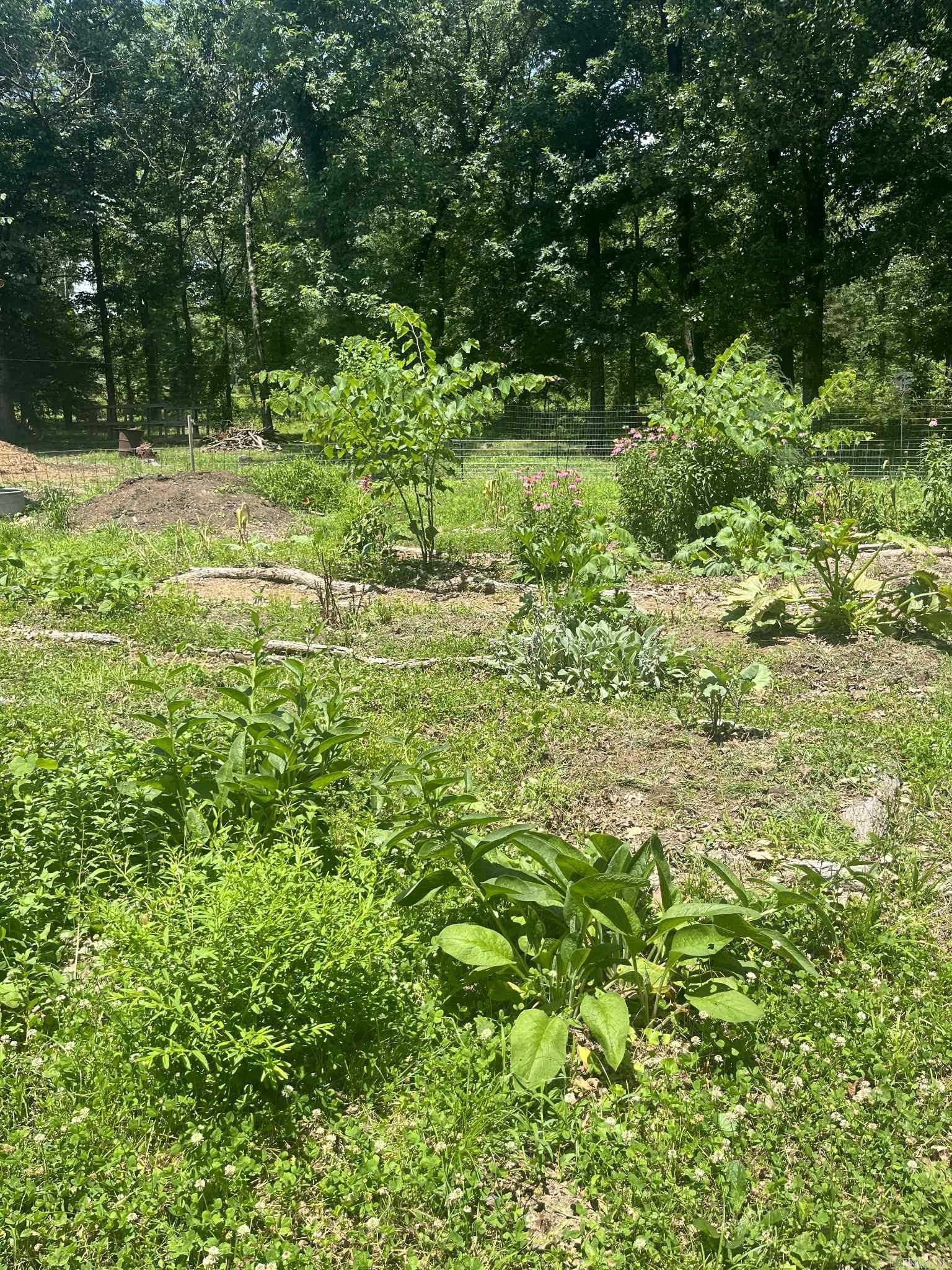 142 Polk Road 659  Mena, AR
