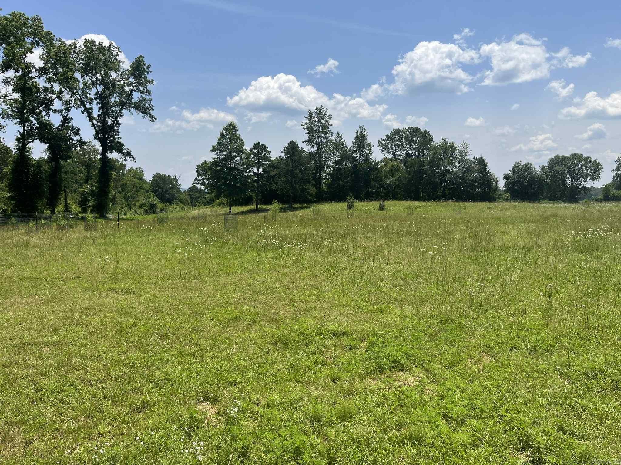 142 Polk Road 659  Mena, AR
