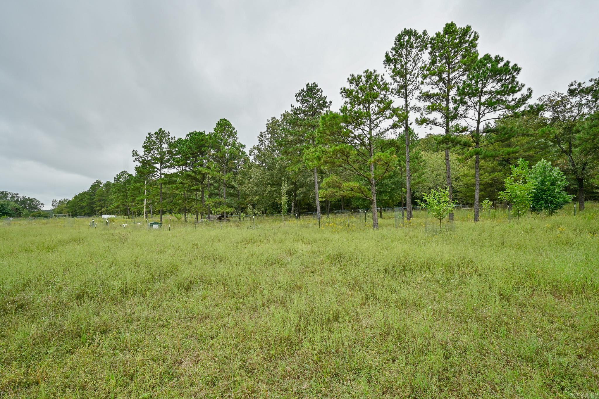 142 Polk Road 659  Mena, AR
