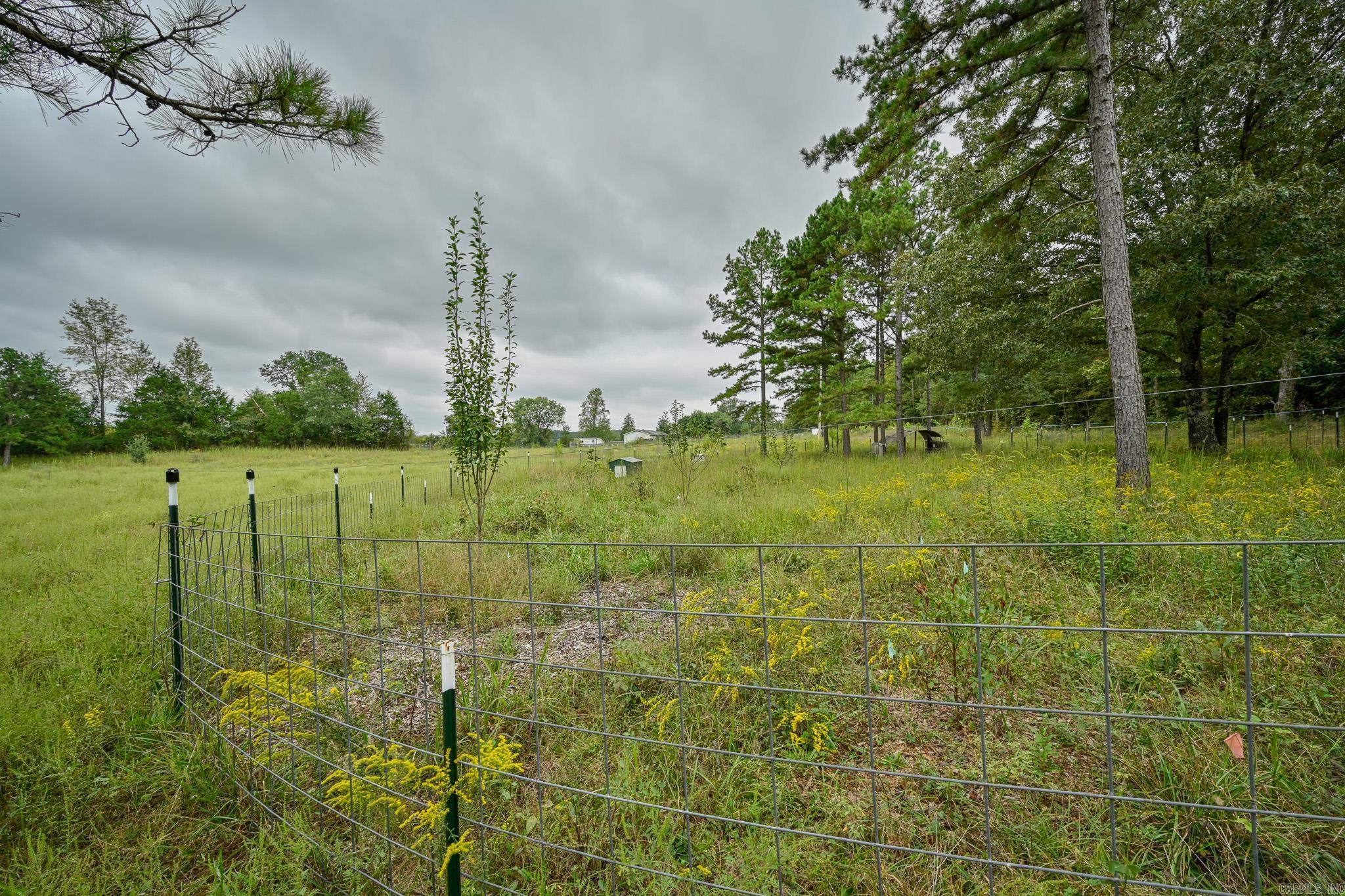 142 Polk Road 659  Mena, AR