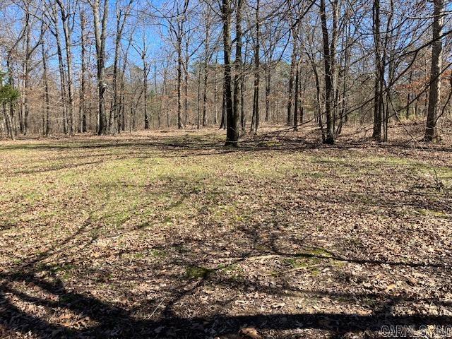 3244  pyburn ext  Pocahontas, AR