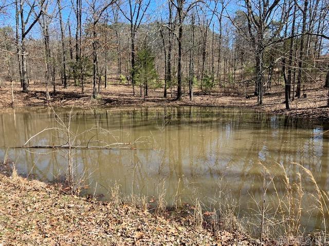 3244  pyburn ext  Pocahontas, AR