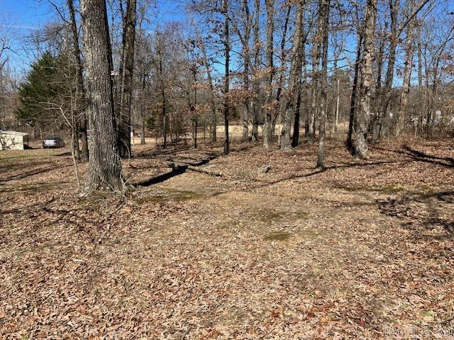 3244  pyburn ext  Pocahontas, AR