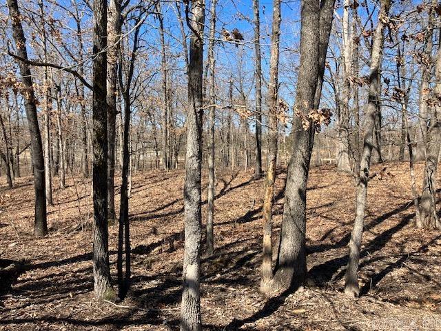 3244  pyburn ext  Pocahontas, AR