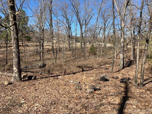 3244  pyburn ext  Pocahontas, AR