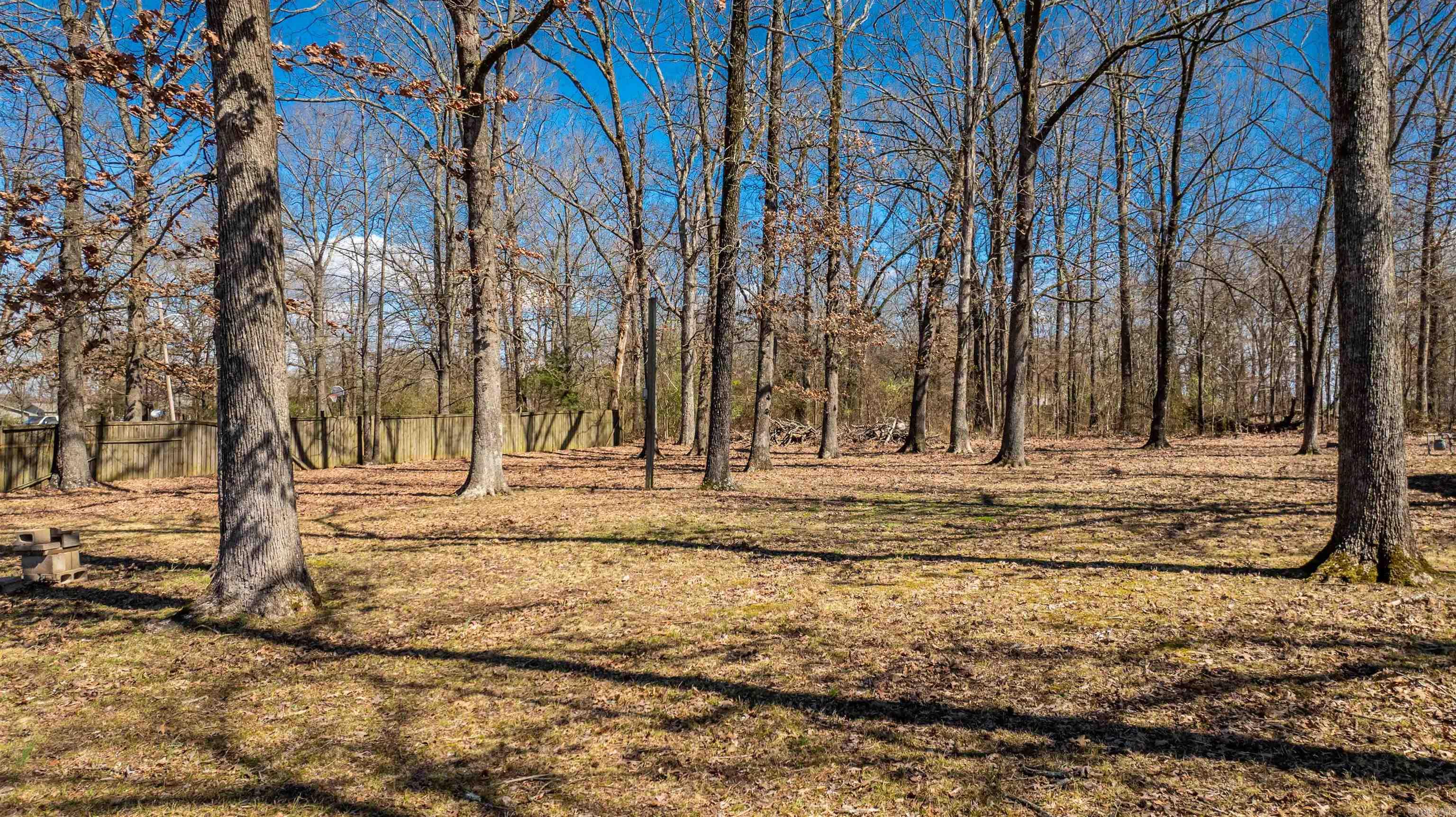 14  Dam  Mayflower, AR