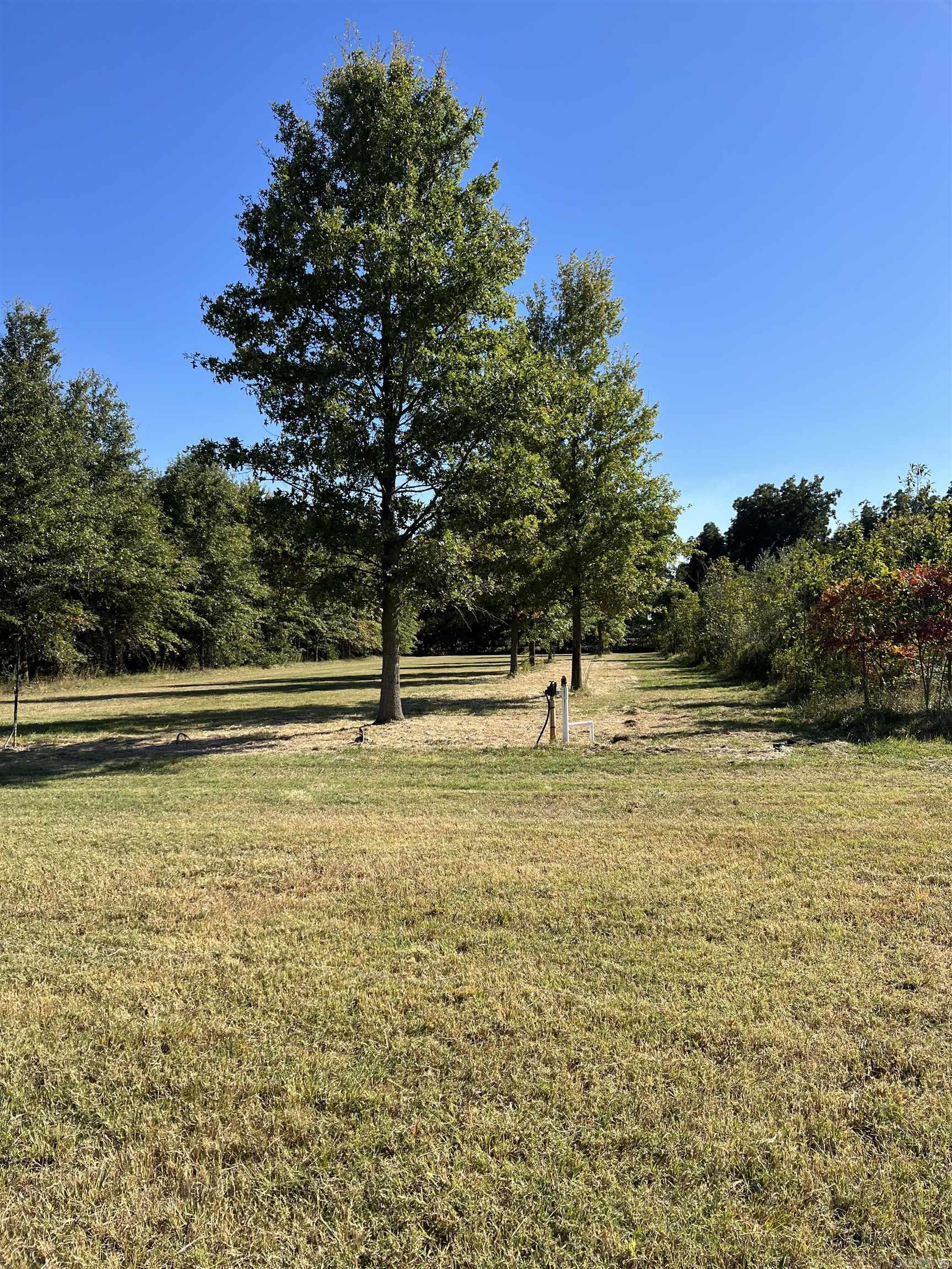 1577 E Main St  Piggott, AR