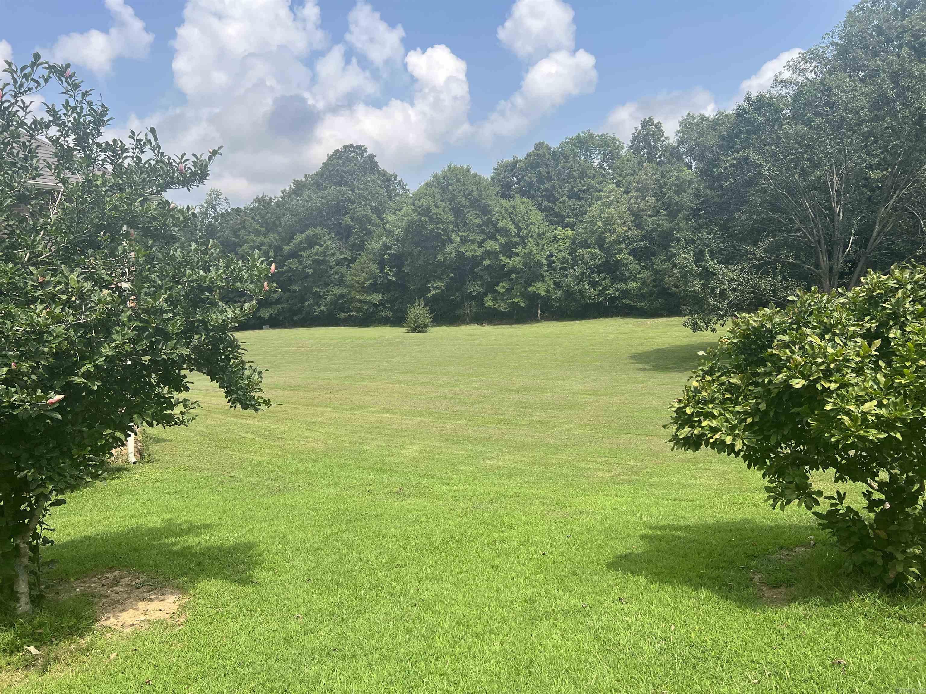 2151  Magnolia Dr  Piggott, AR