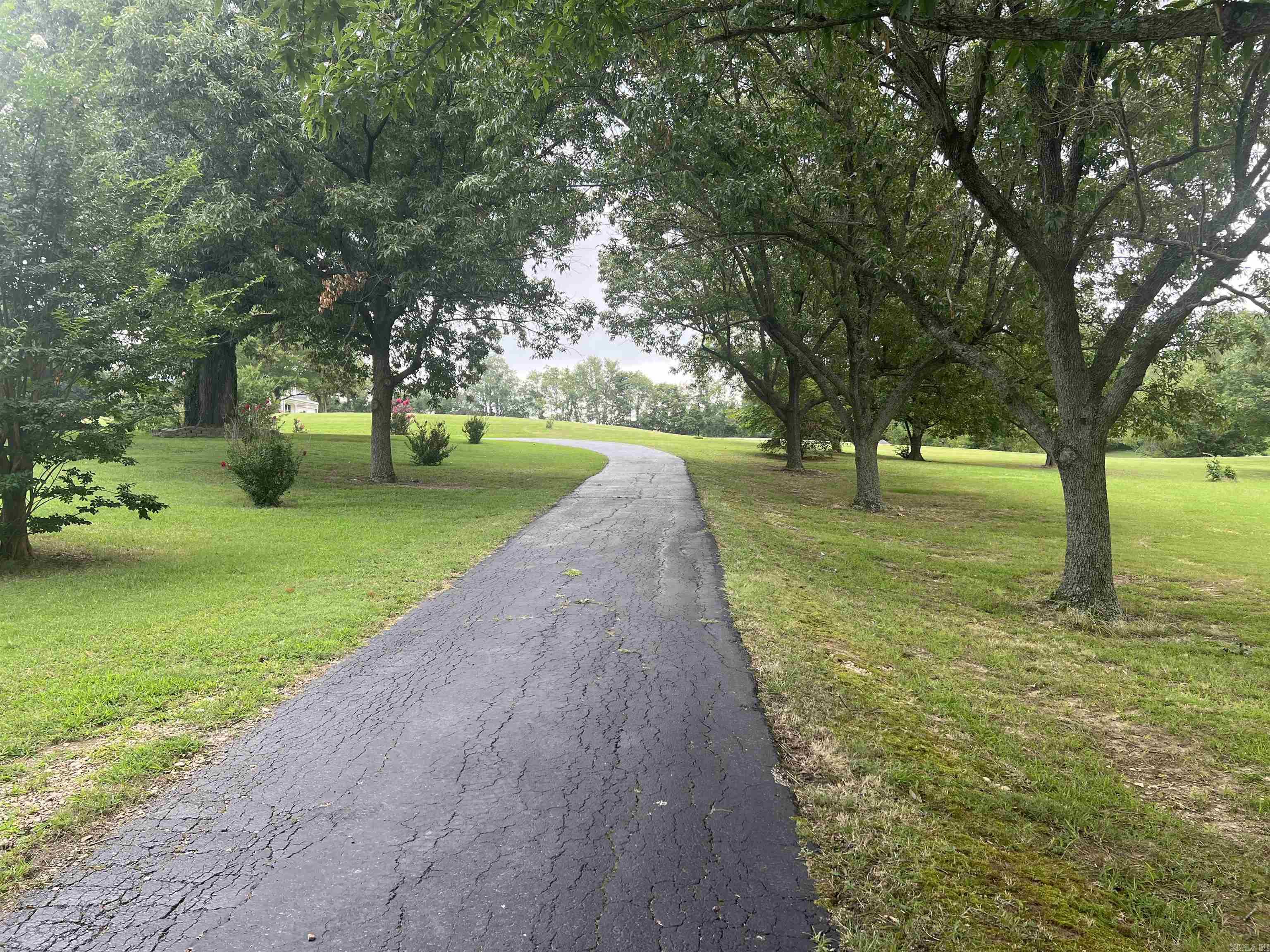2151  Magnolia Dr  Piggott, AR