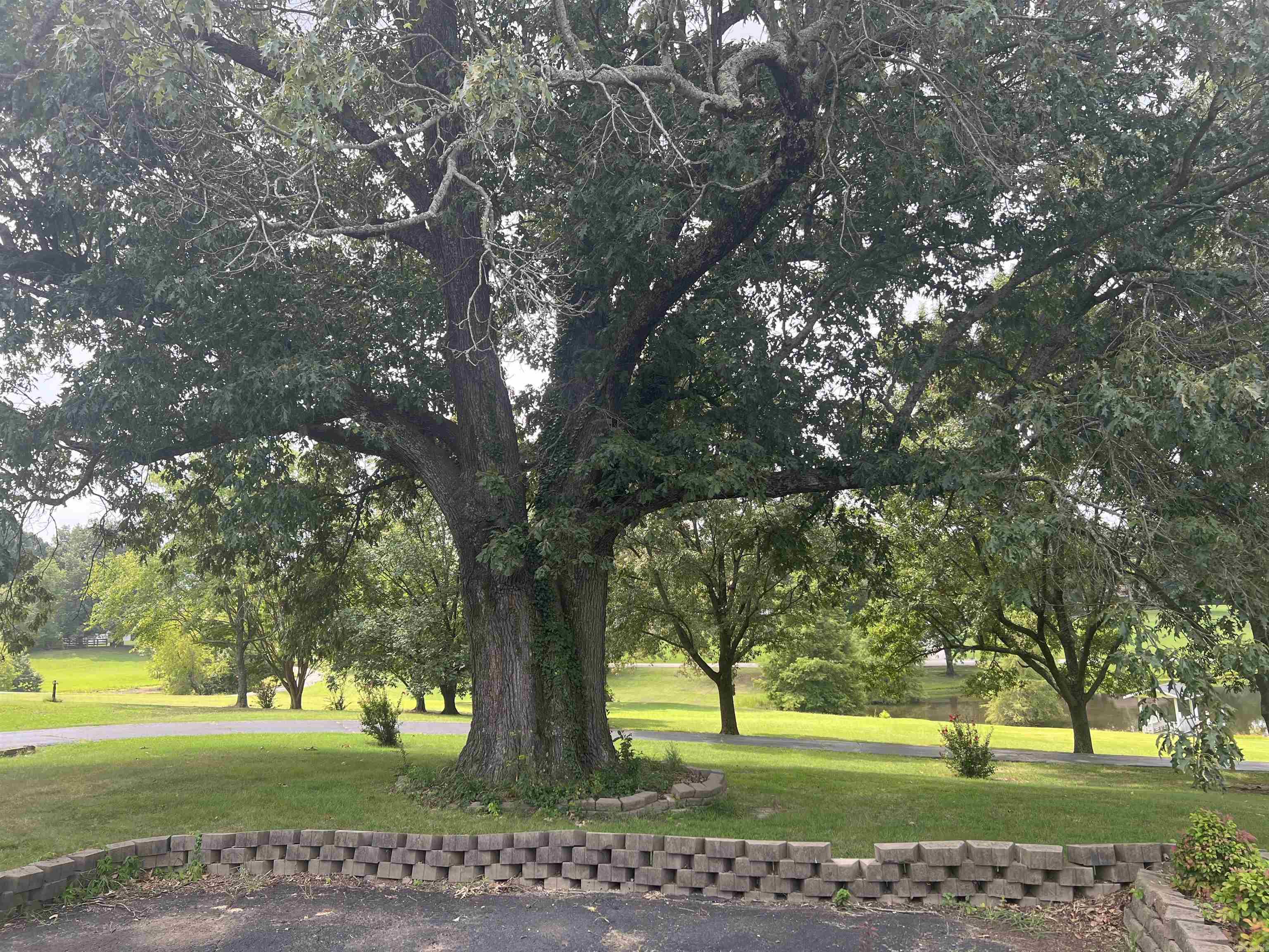 2151  Magnolia Dr  Piggott, AR