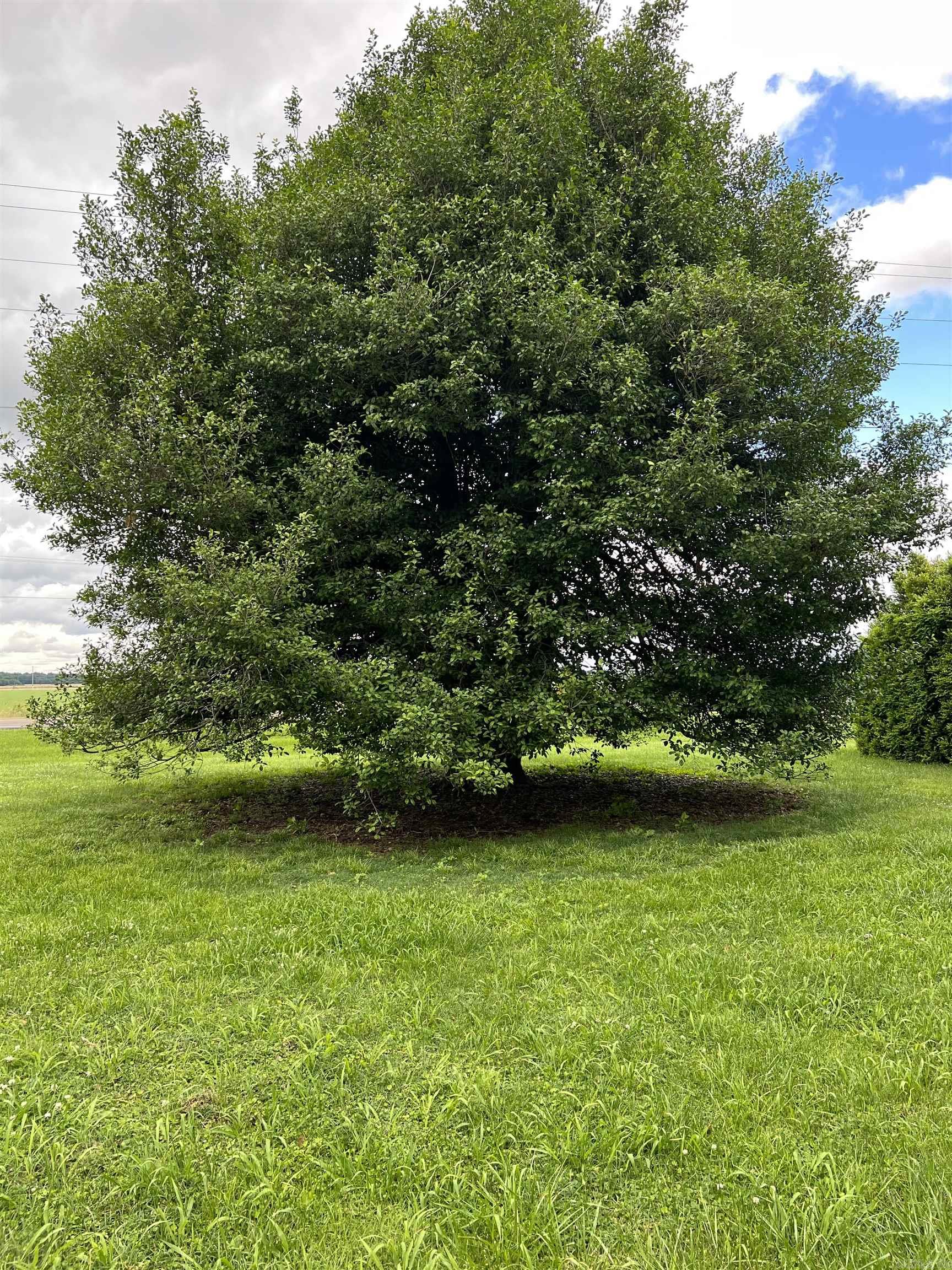 1577 W Main St  Piggott, AR