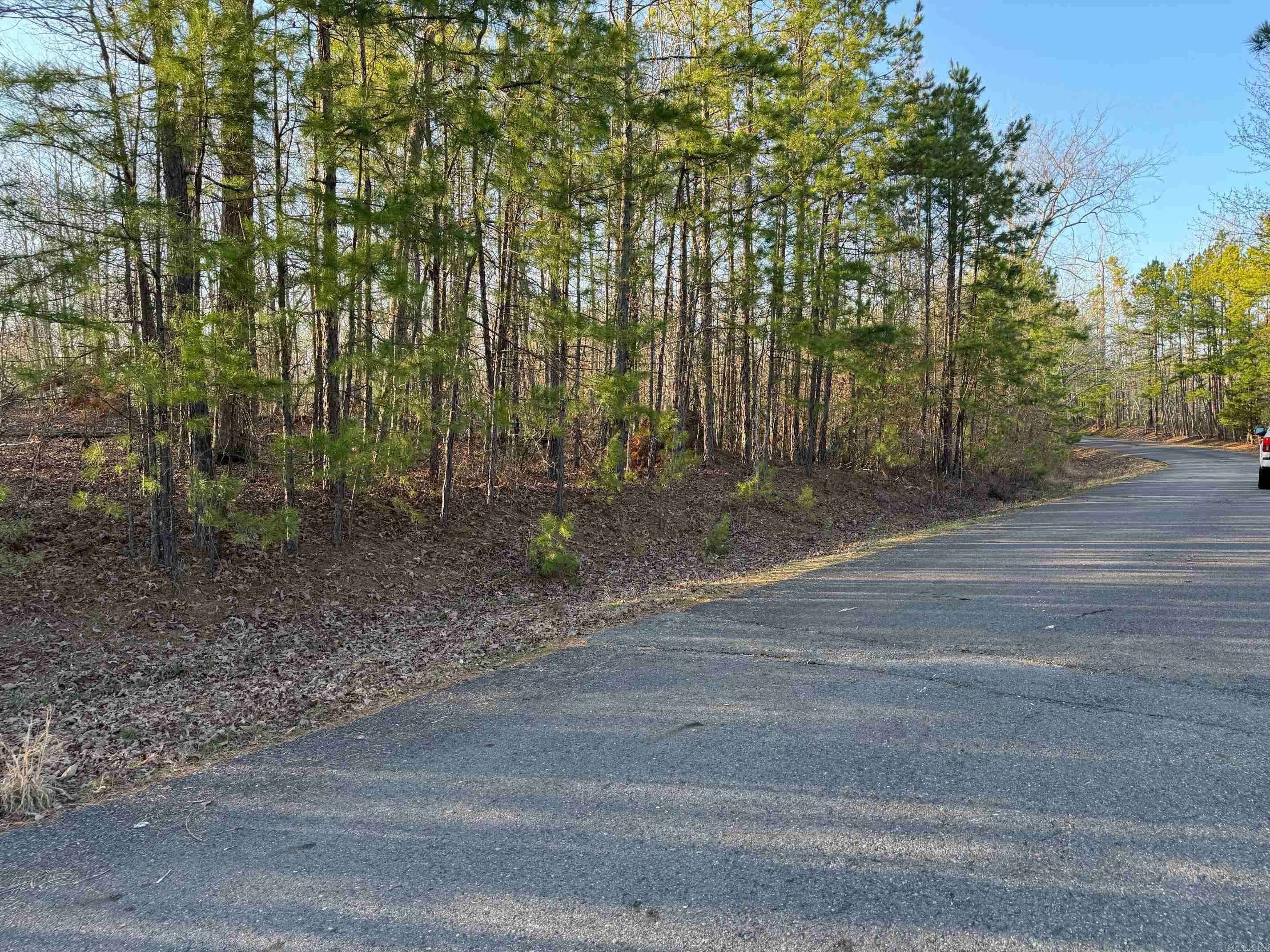 8  ANDORRA LANE  Hot Springs Village, AR