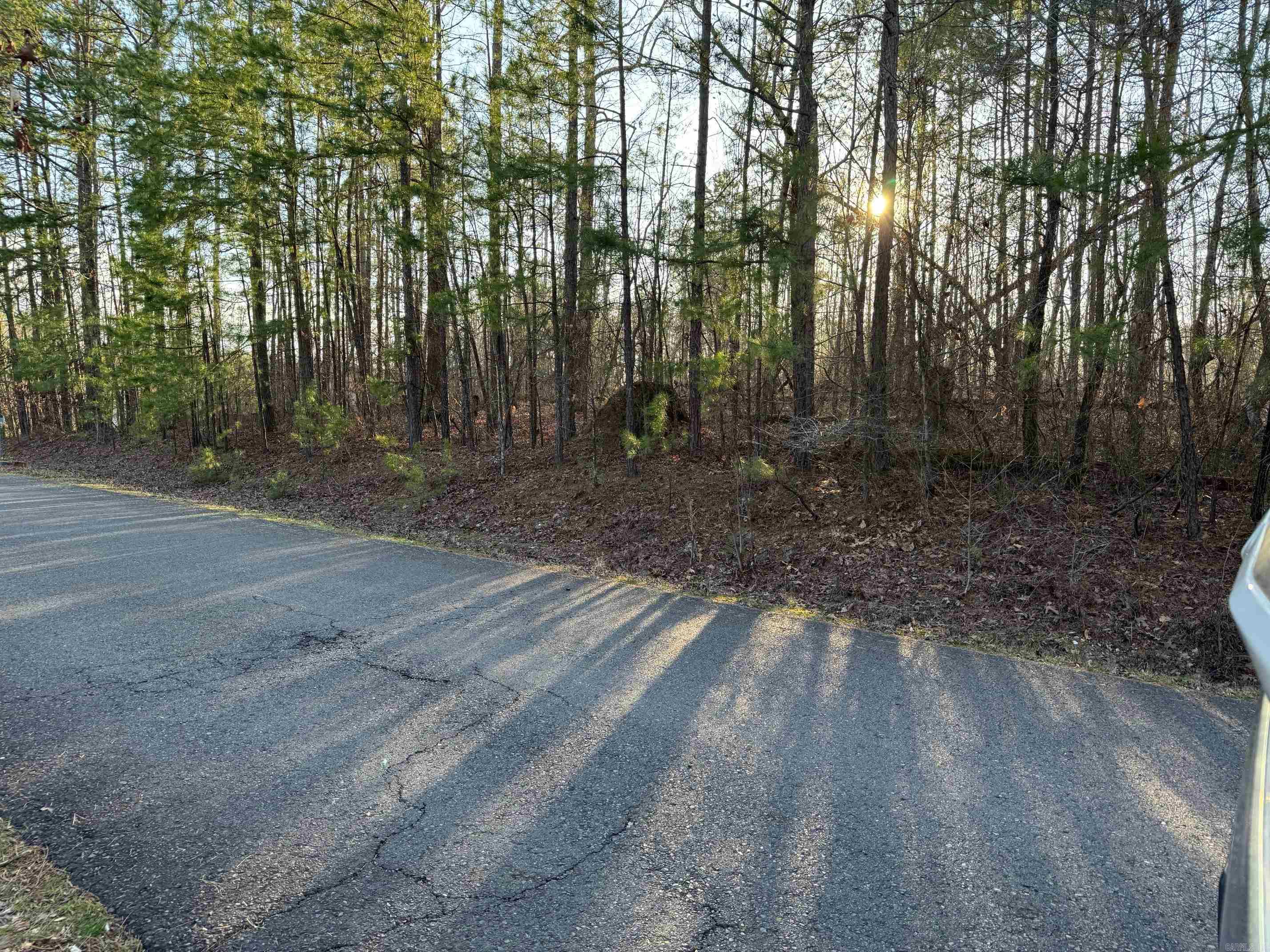 8  ANDORRA LANE  Hot Springs Village, AR