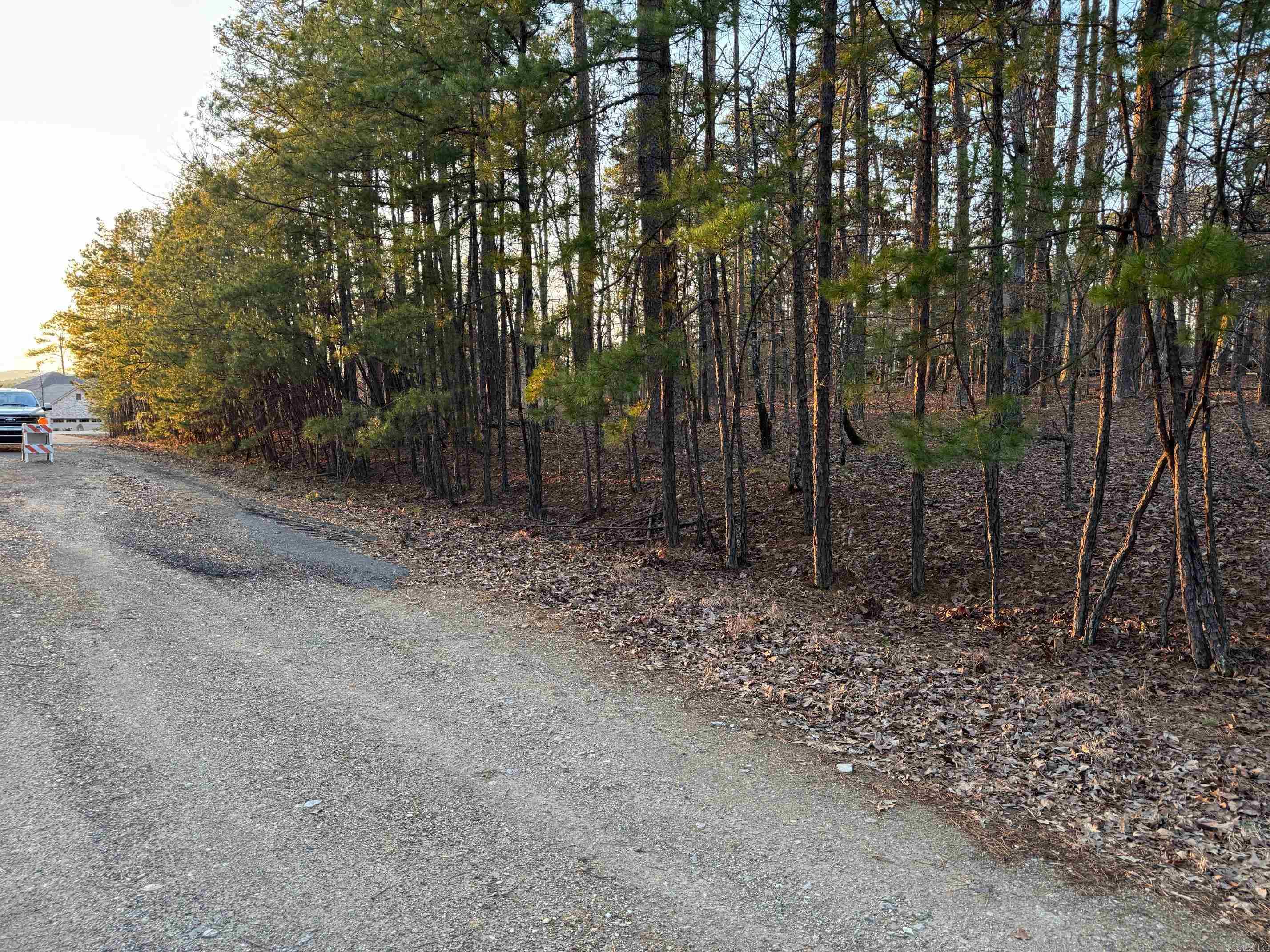 45  JAGUAR WAY  Hot Springs Village, AR