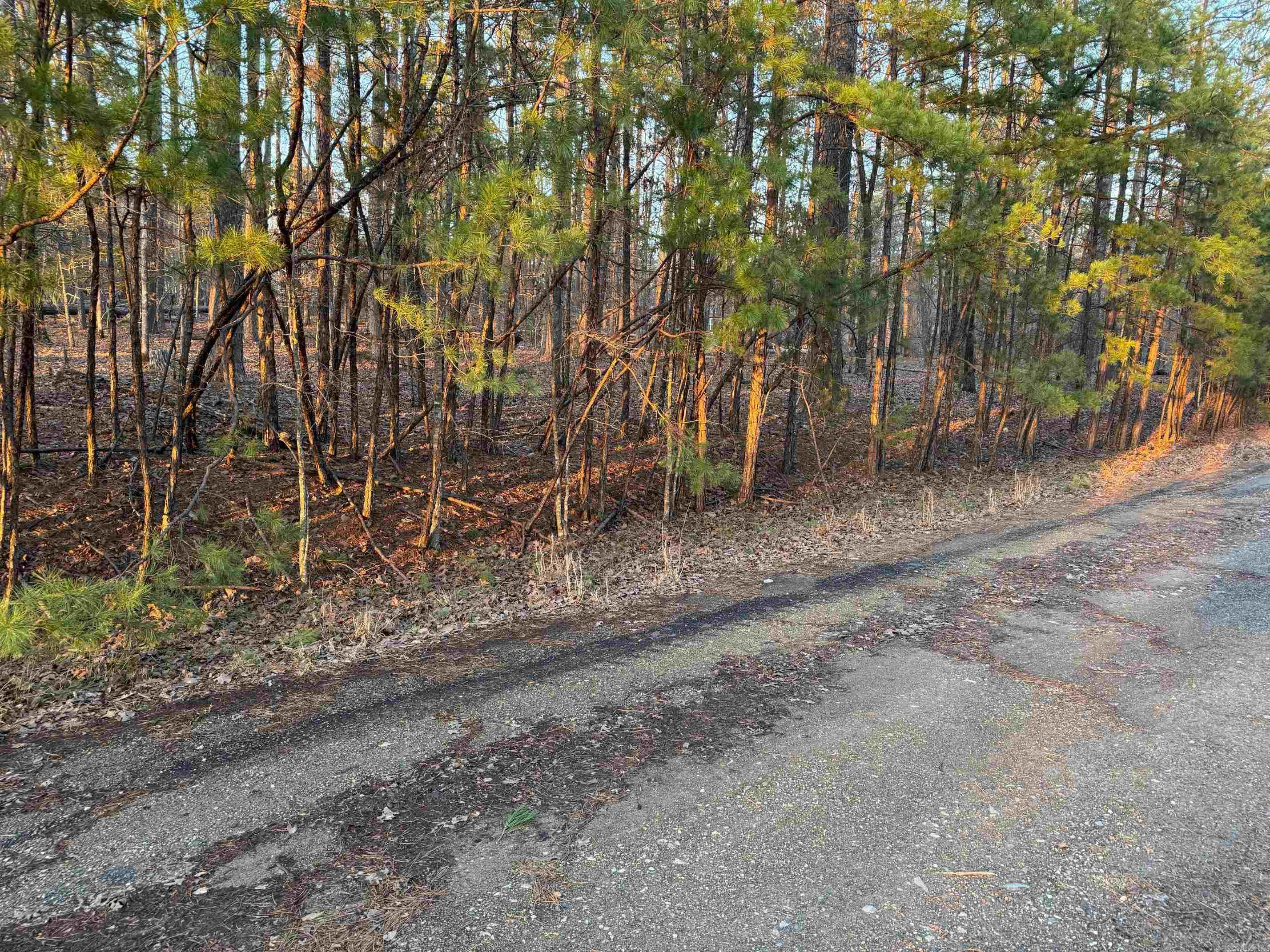 45  JAGUAR WAY  Hot Springs Village, AR