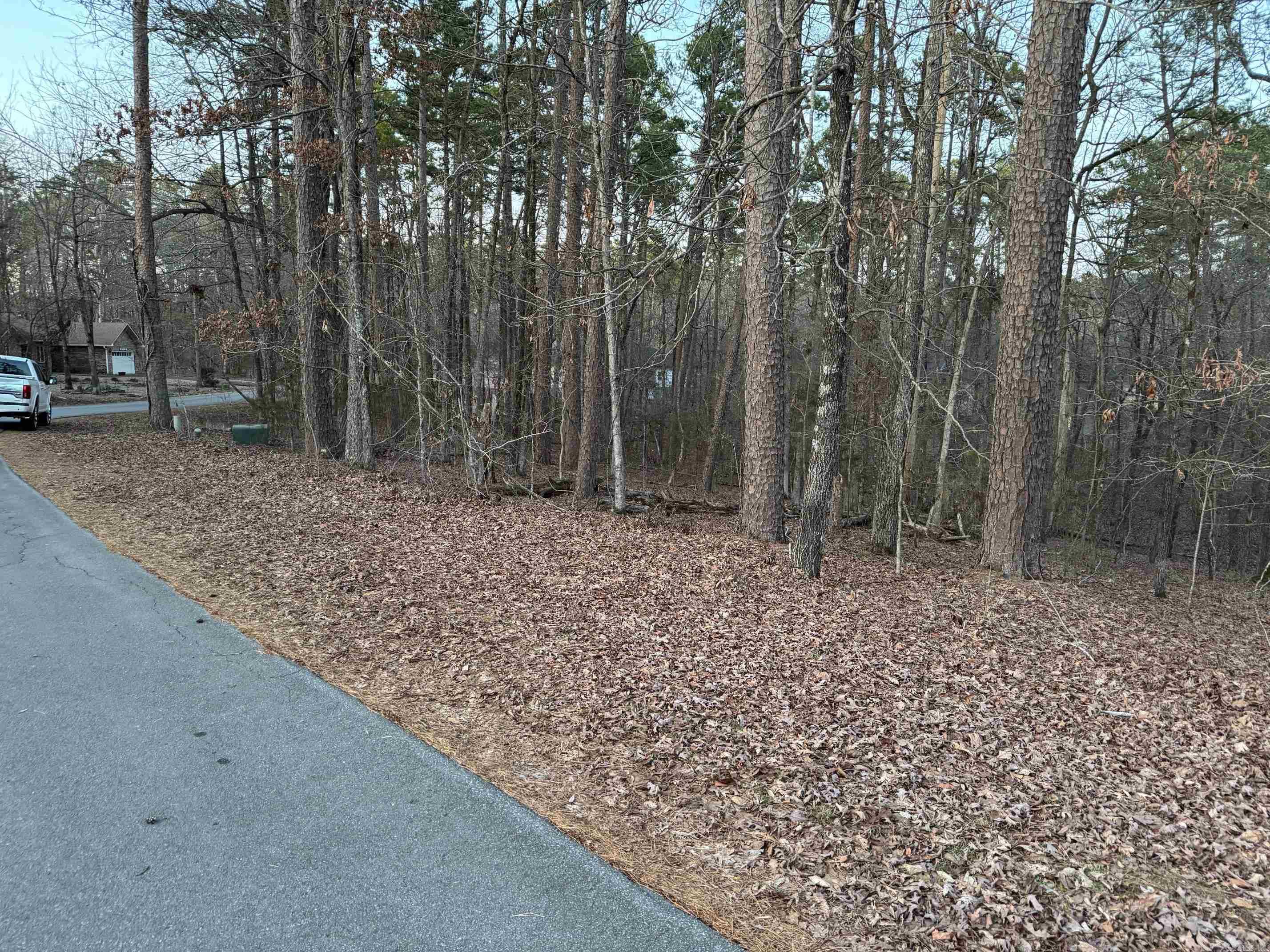 65  SALDANA WAY  Hot Springs Village, AR