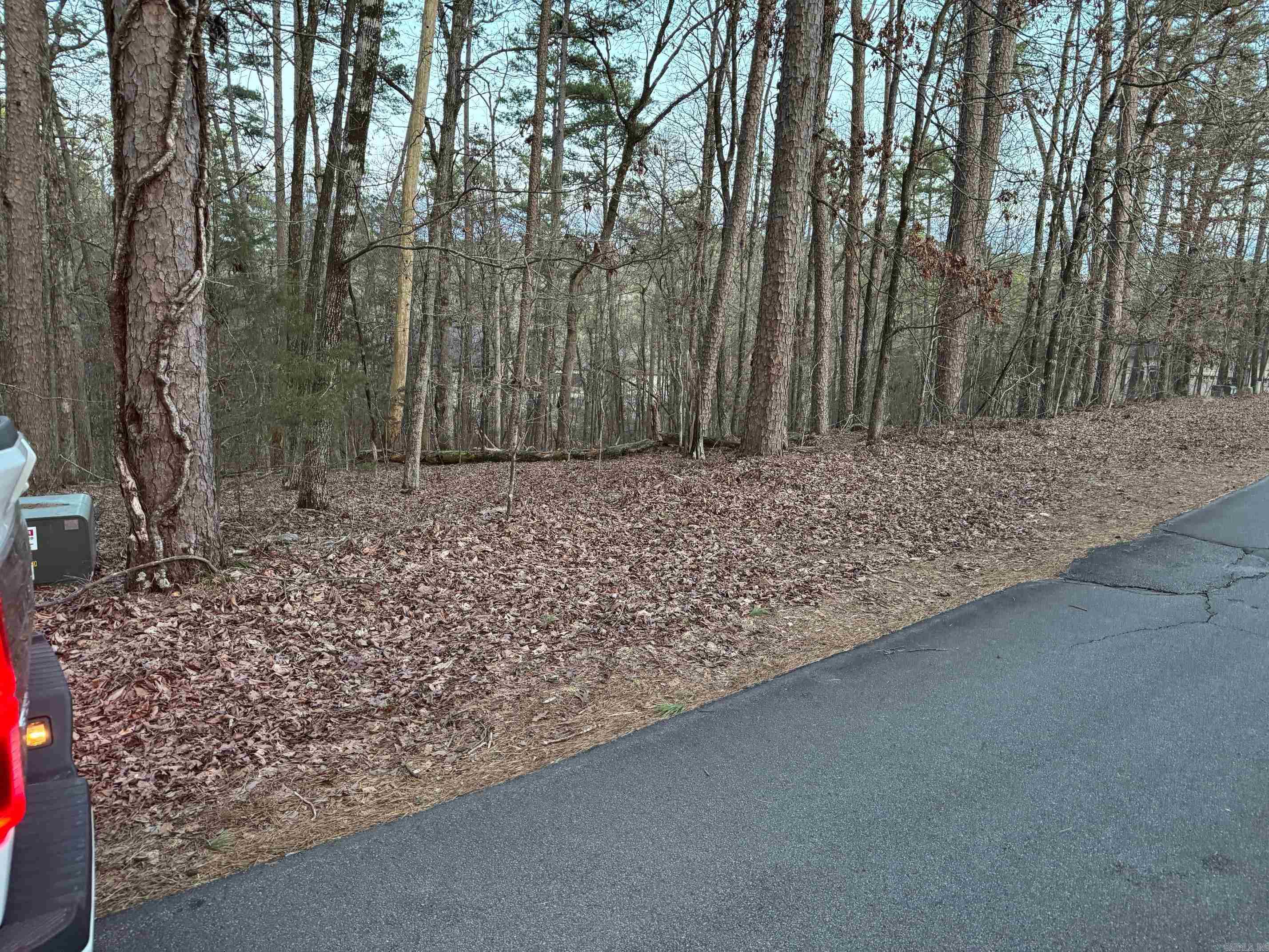 65  SALDANA WAY  Hot Springs Village, AR