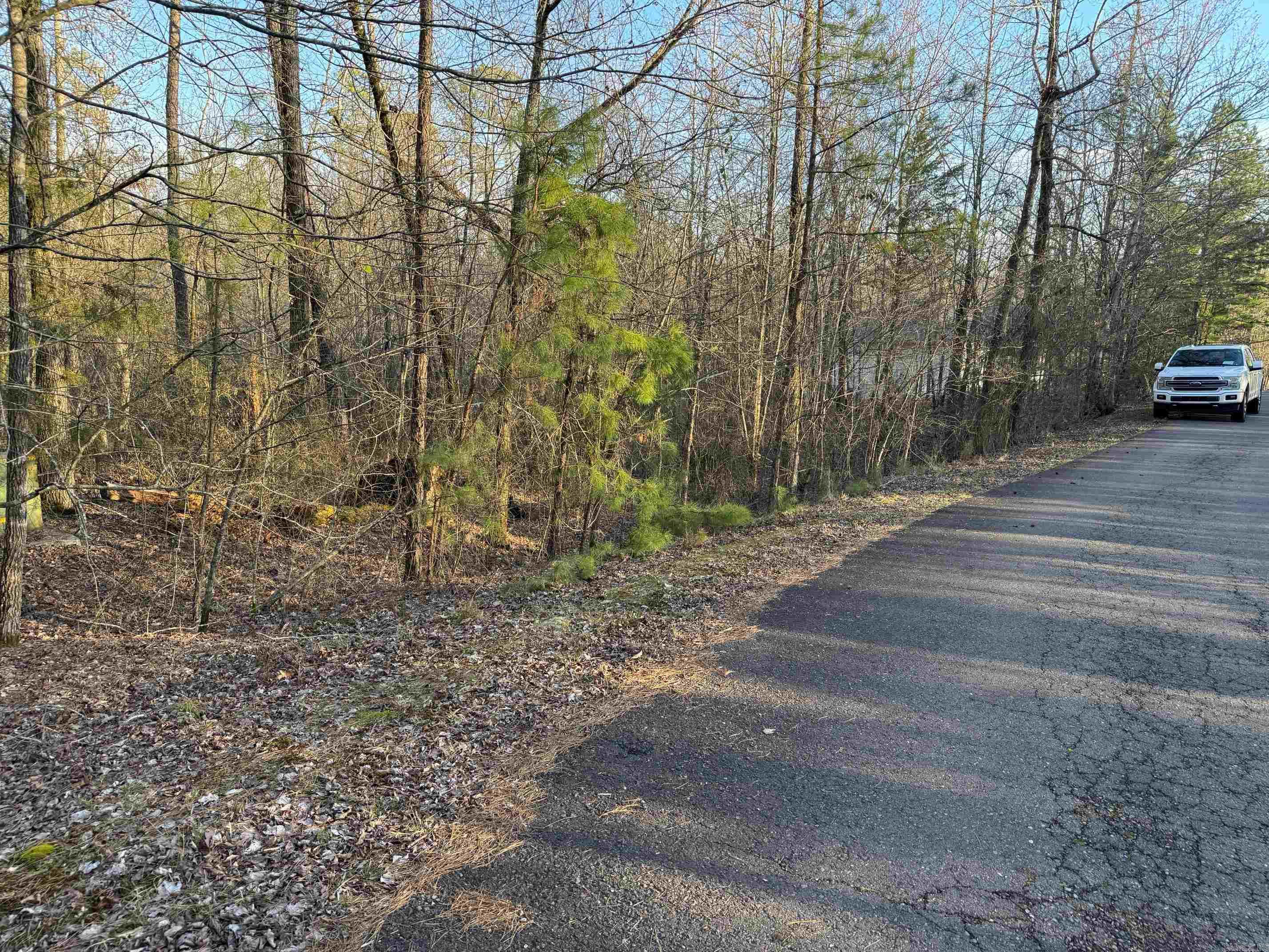 7  ANDORRA LANE  Hot Springs Village, AR