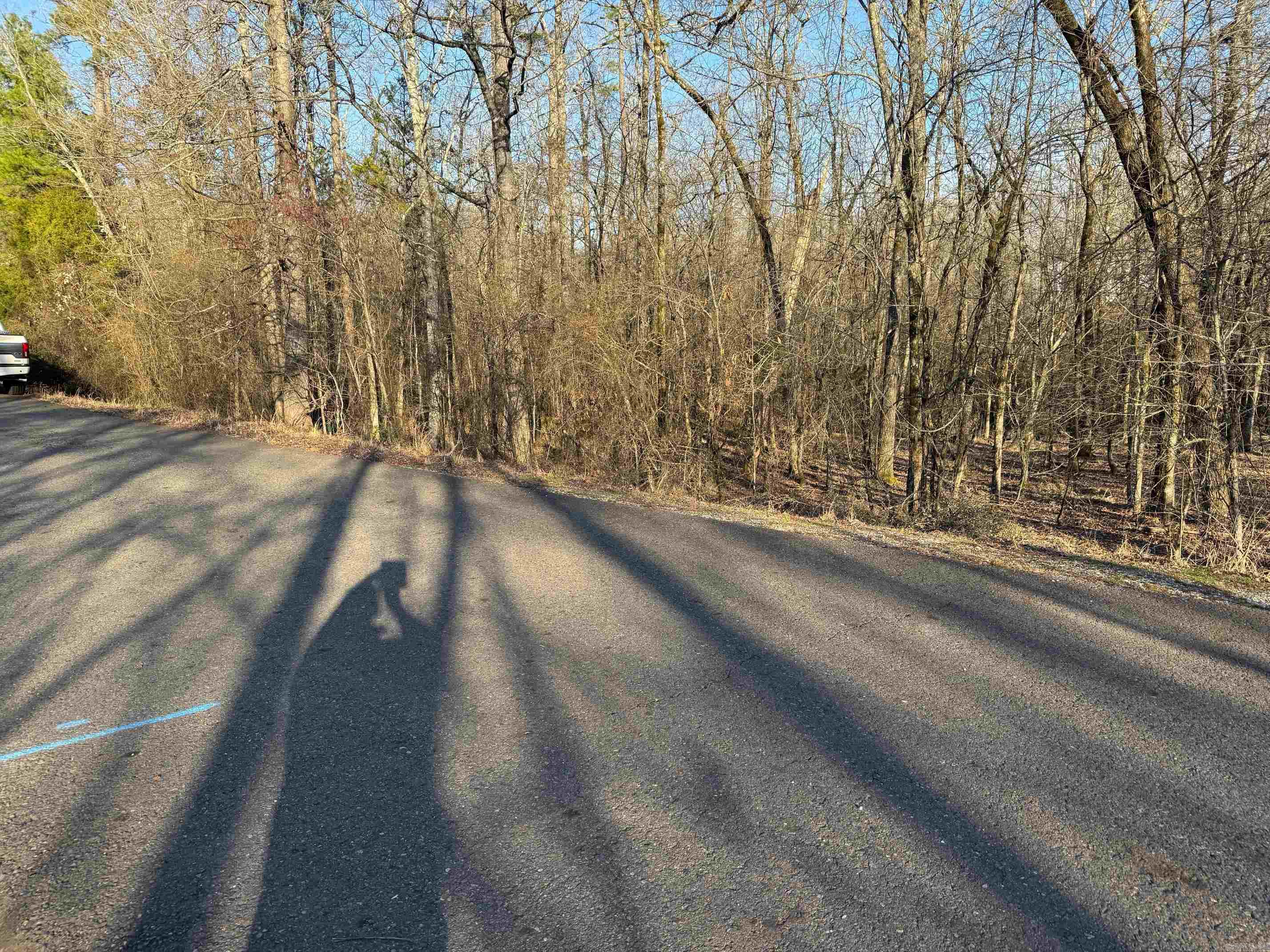 21  ANDORRA LANE  Hot Springs Village, AR