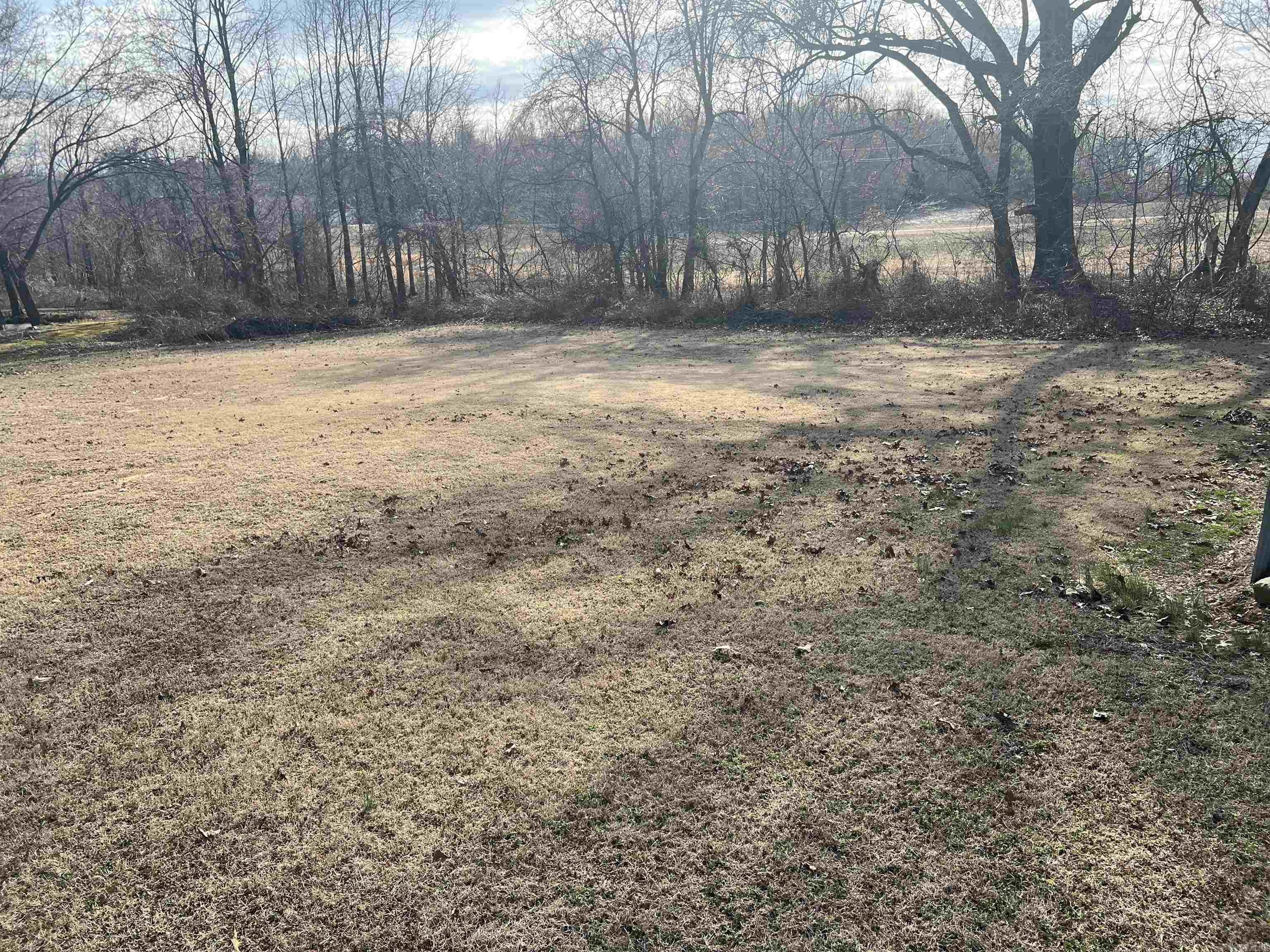 6308  Highway 62  Pollard, AR