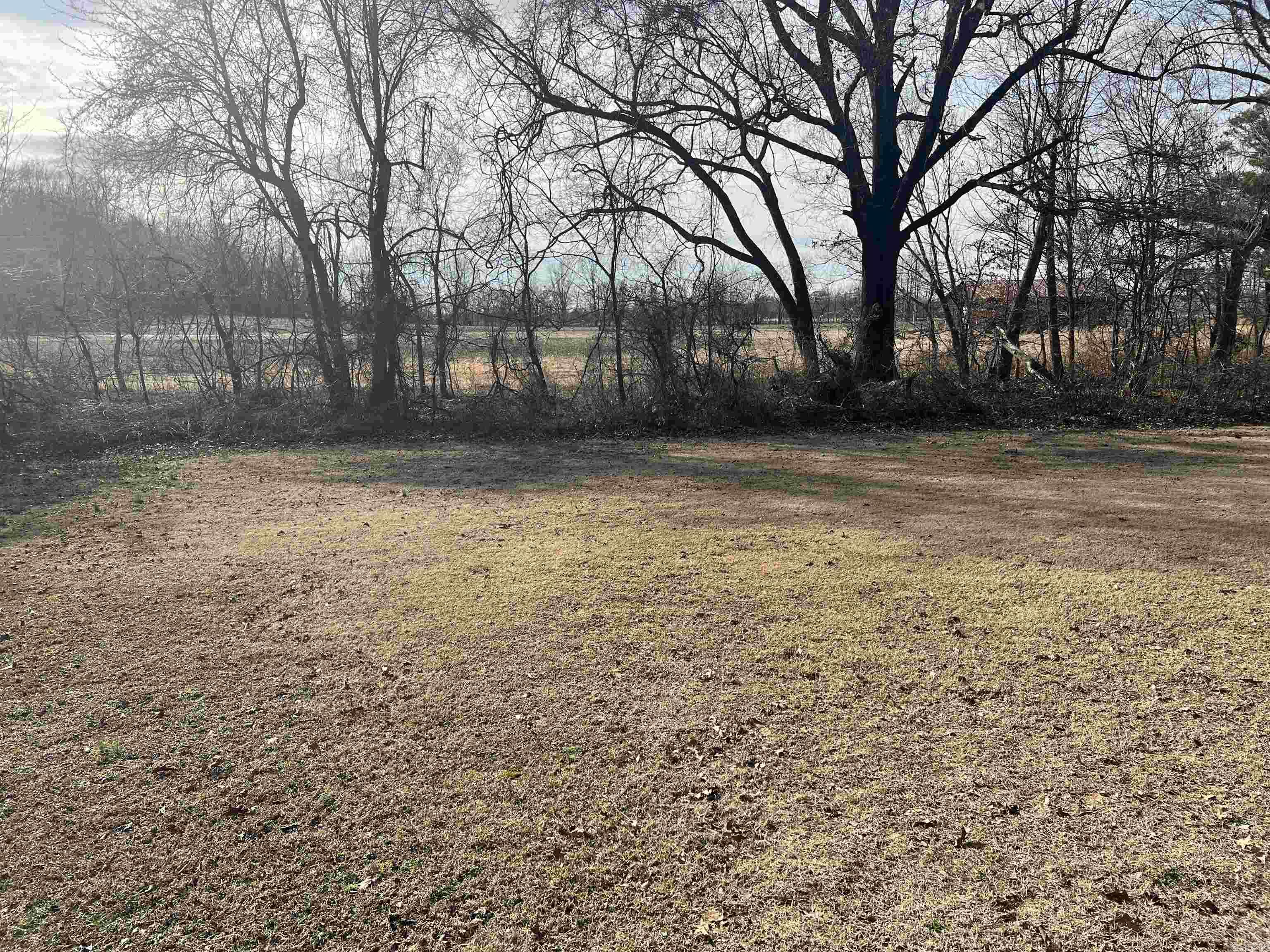 6308  Highway 62  Pollard, AR