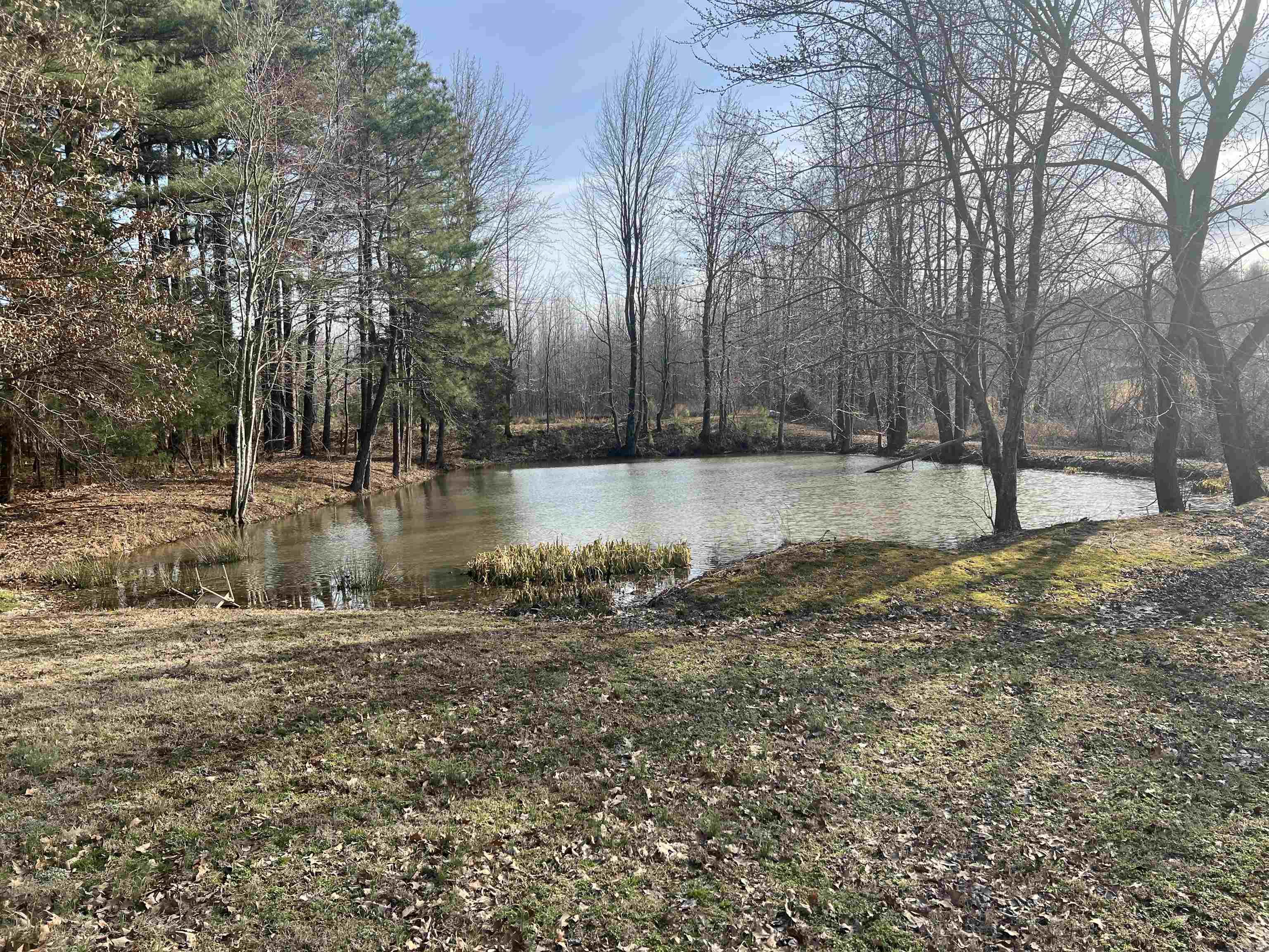 6308  Highway 62  Pollard, AR