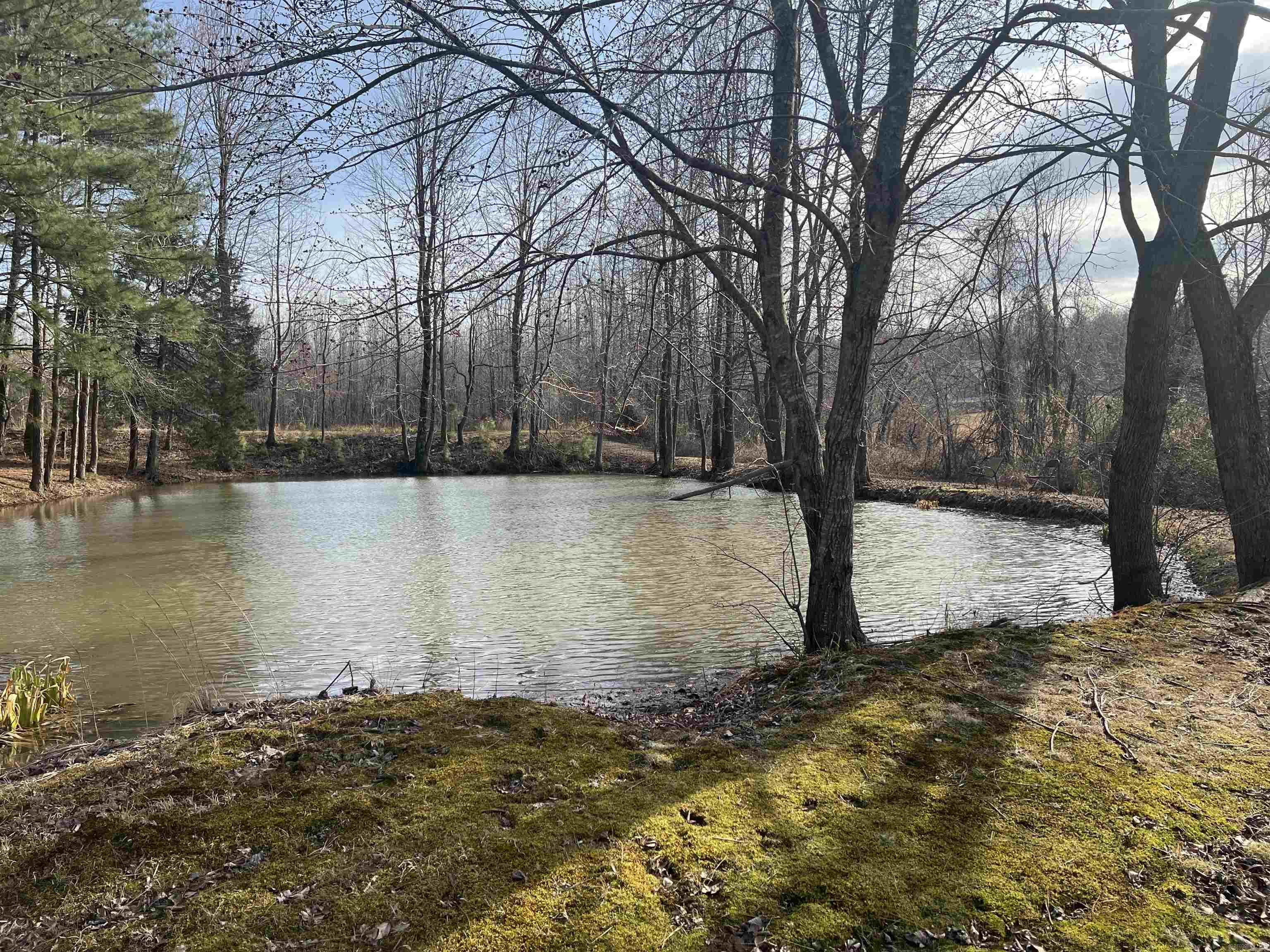 6308  Highway 62  Pollard, AR